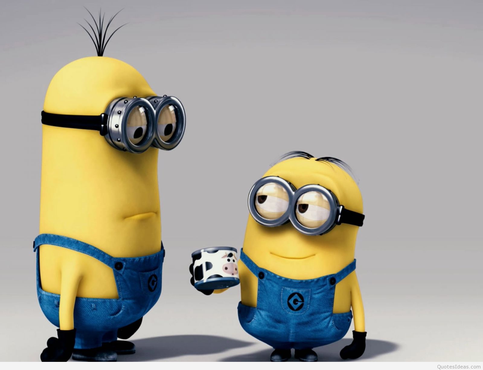 Due Minion con occhiali, 1600x1227 HD, Laptop