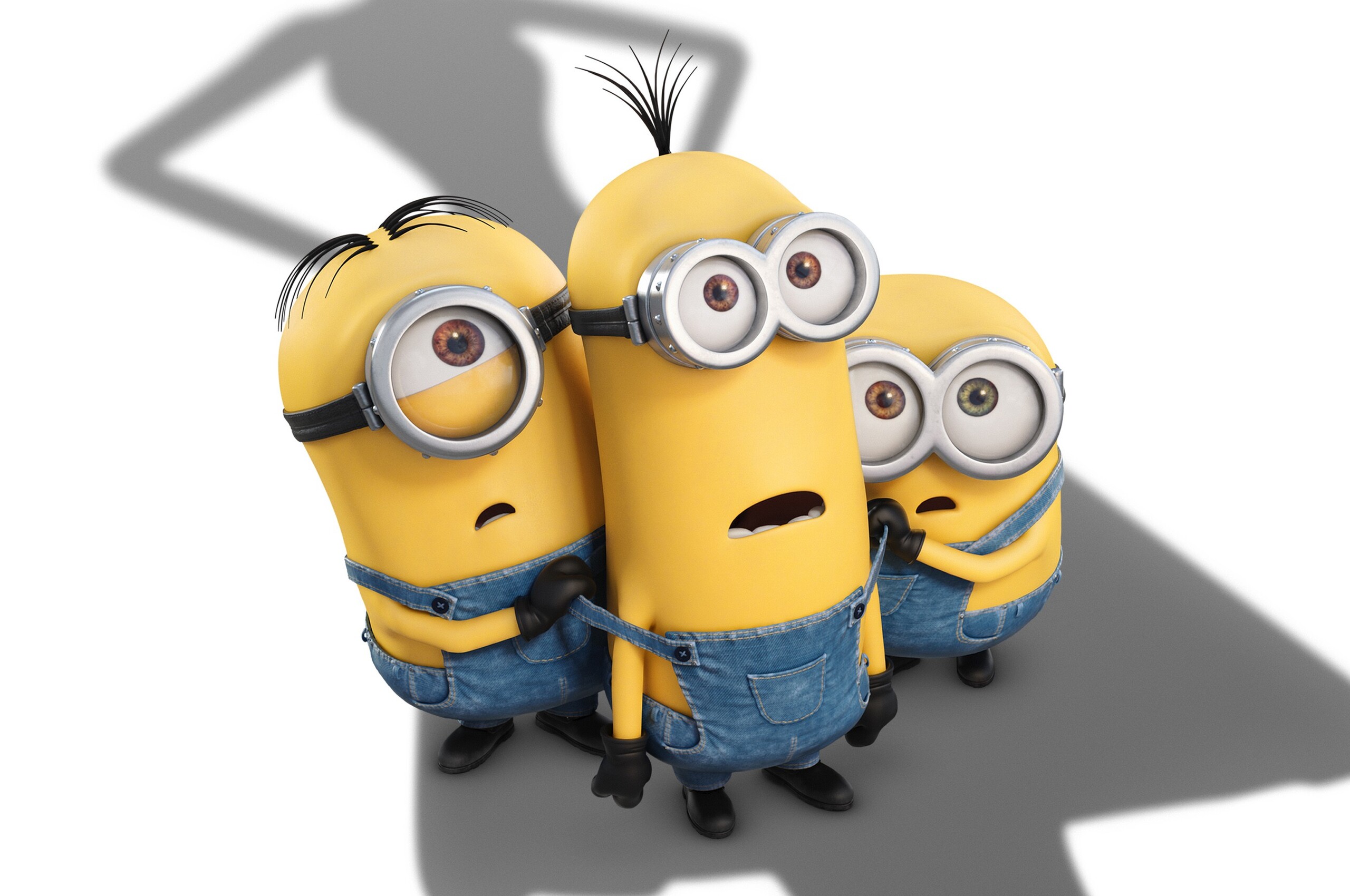 Minions gruppo cartone, 2560x1700 2K, PC