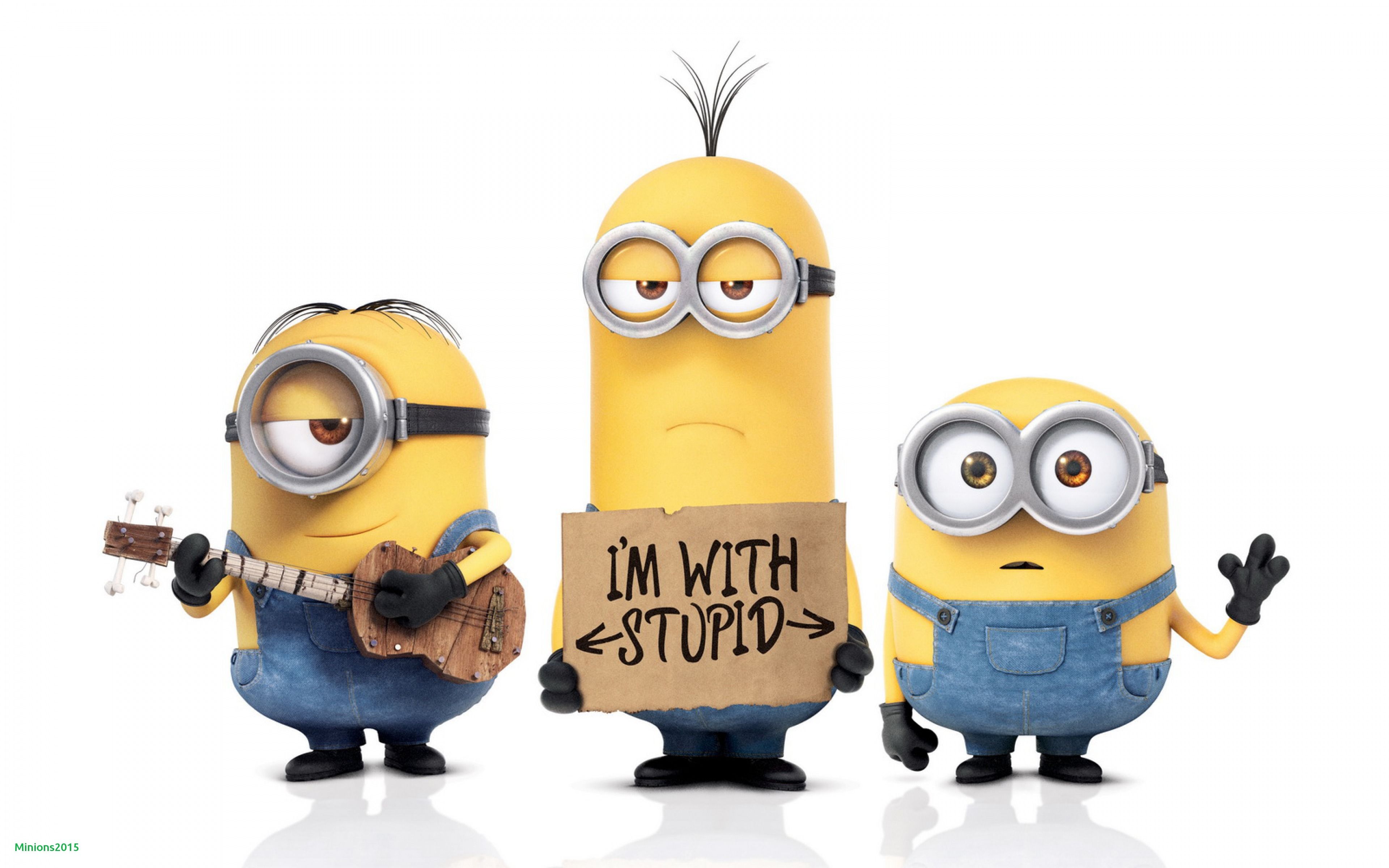 Minion divertenti cartello, 3840x2400 4K Ultra HD, Monitor 4K