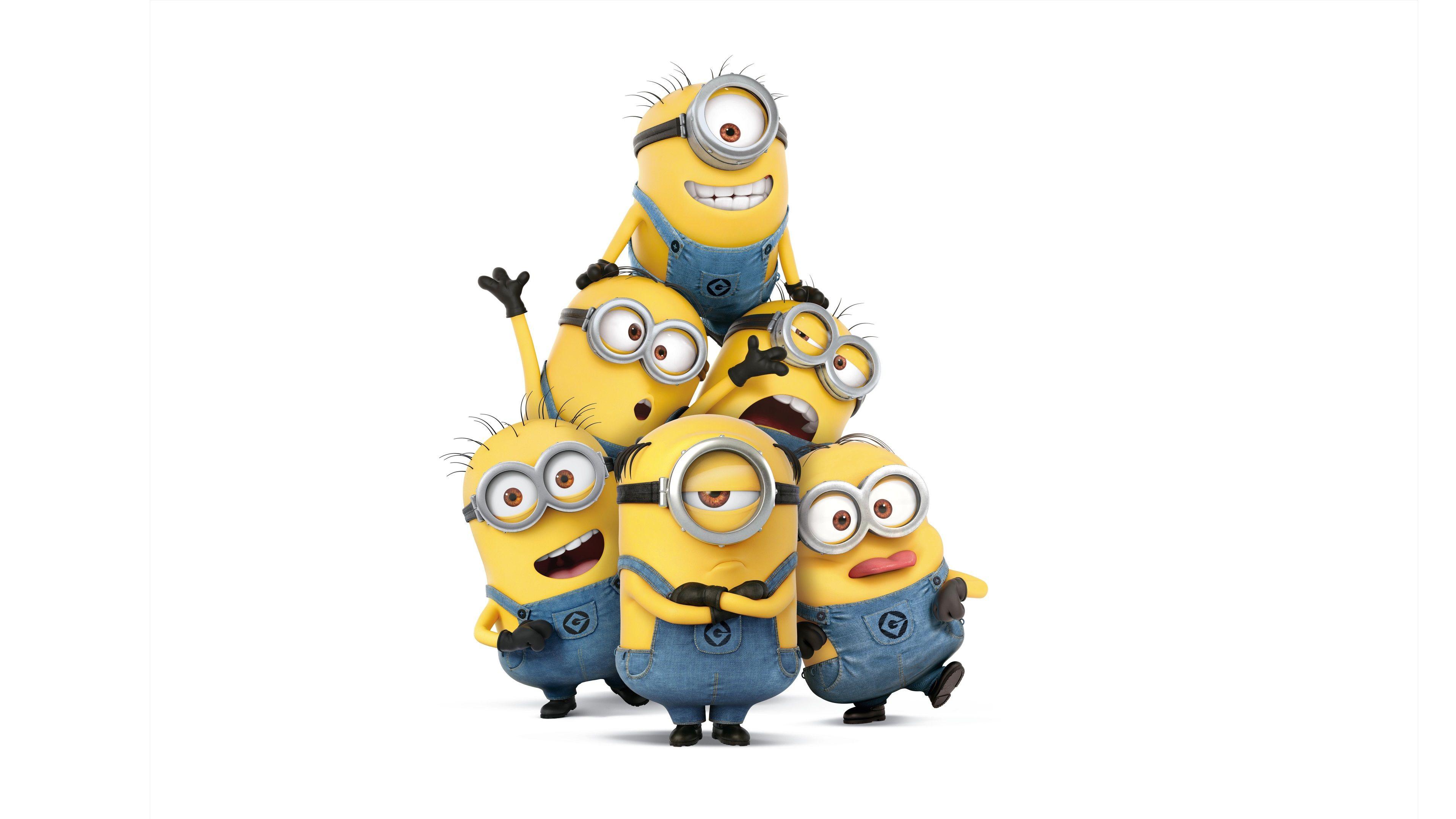 Gruppo Minions sfondo bianco, 3840x2160 4K, Desktop 4K