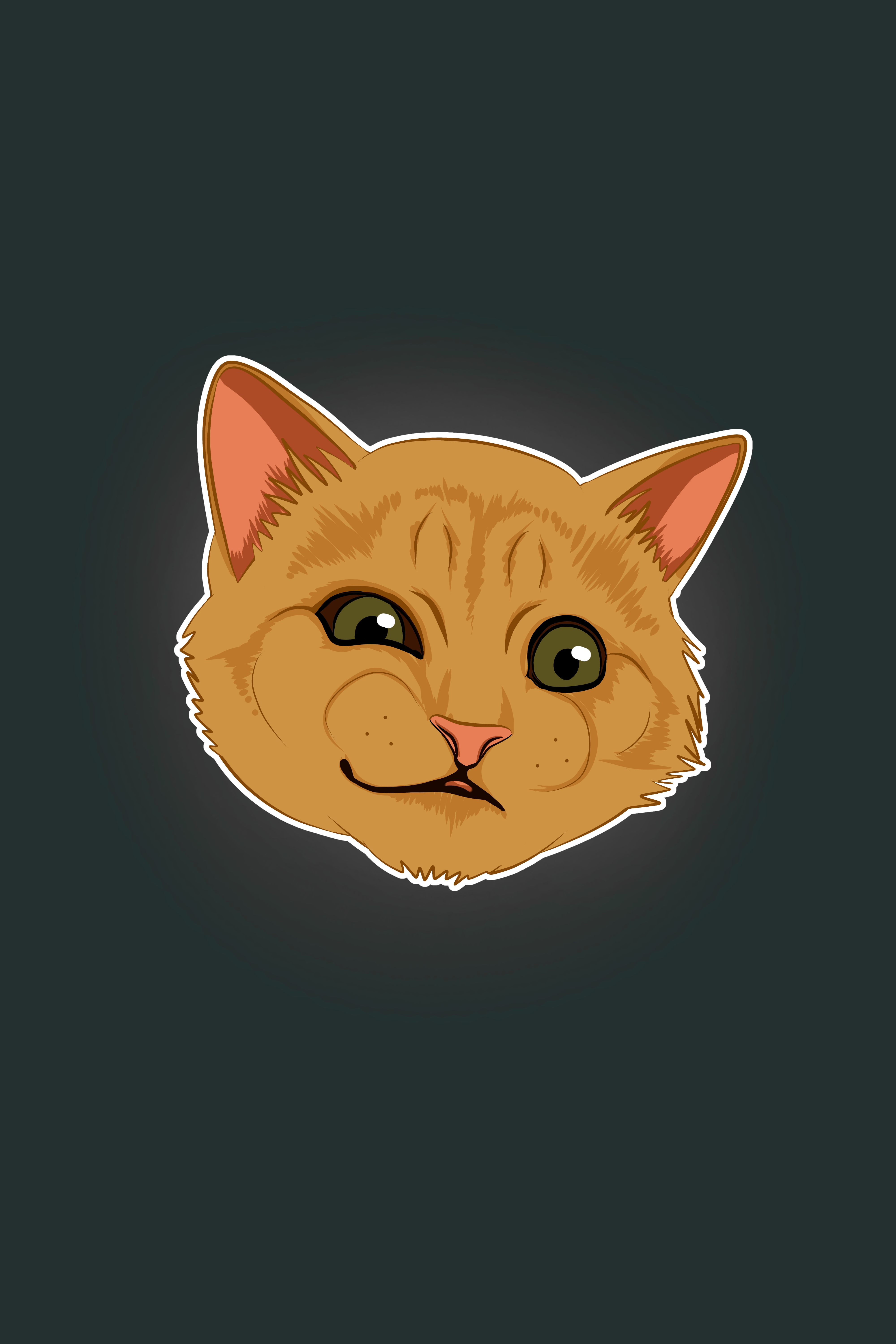 Gatto arancione faccia meme, 4000x6000 Verticale, Mobile