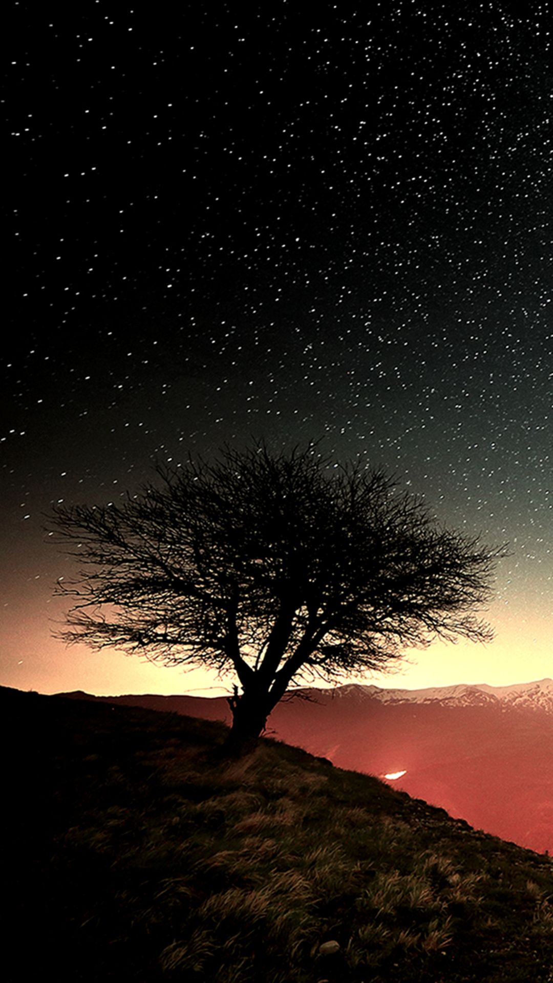 albero solitario cielo stellato, 1080x1920 Full HD Verticale, Samsung Galaxy