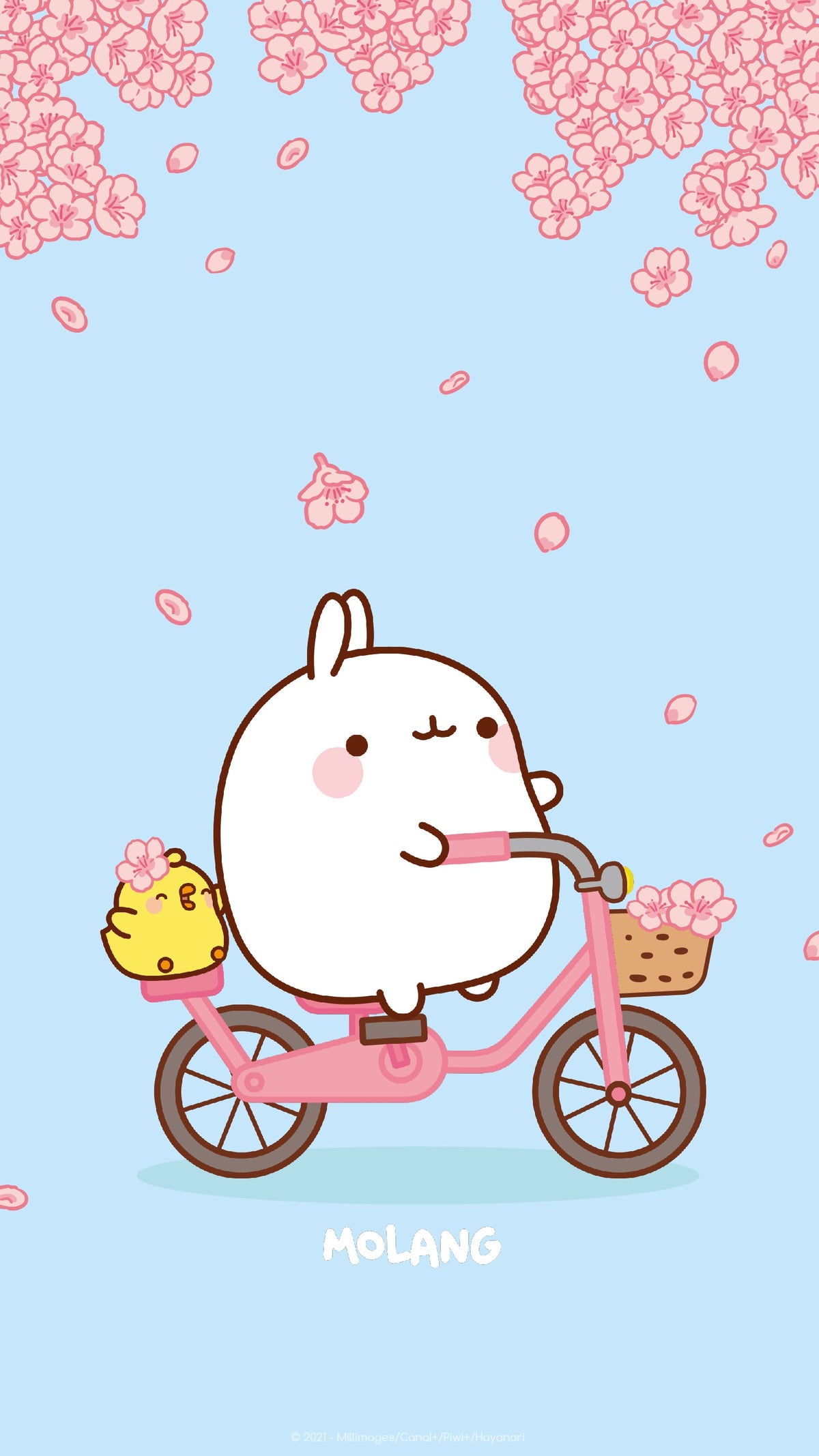 Molang in bicicletta con fiori, 1200x2134 Full HD Verticale, Google Pixel