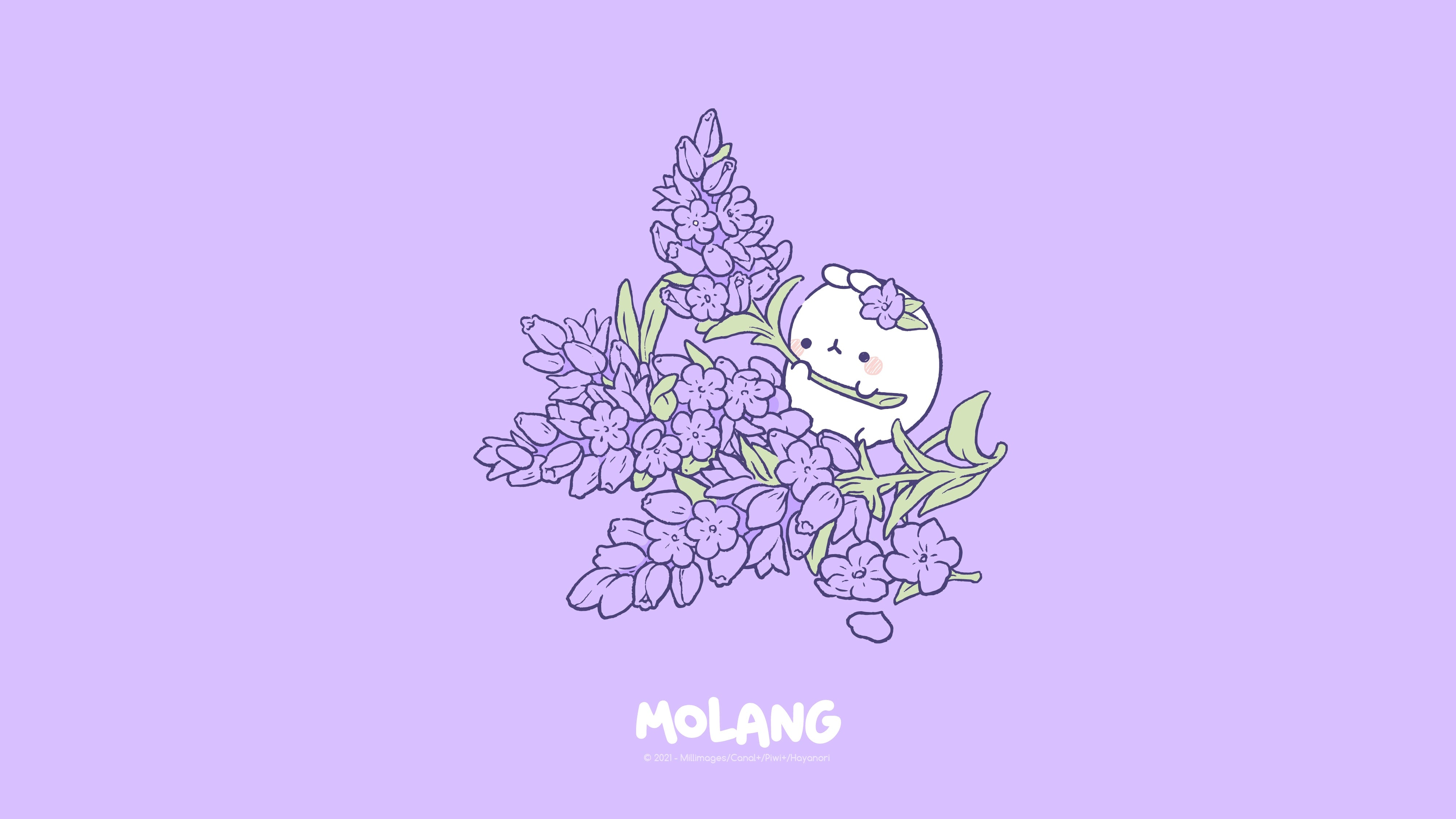 Molang coniglio tra fiori lilla, 4001x2251 4K Ultra HD, Monitor 4K