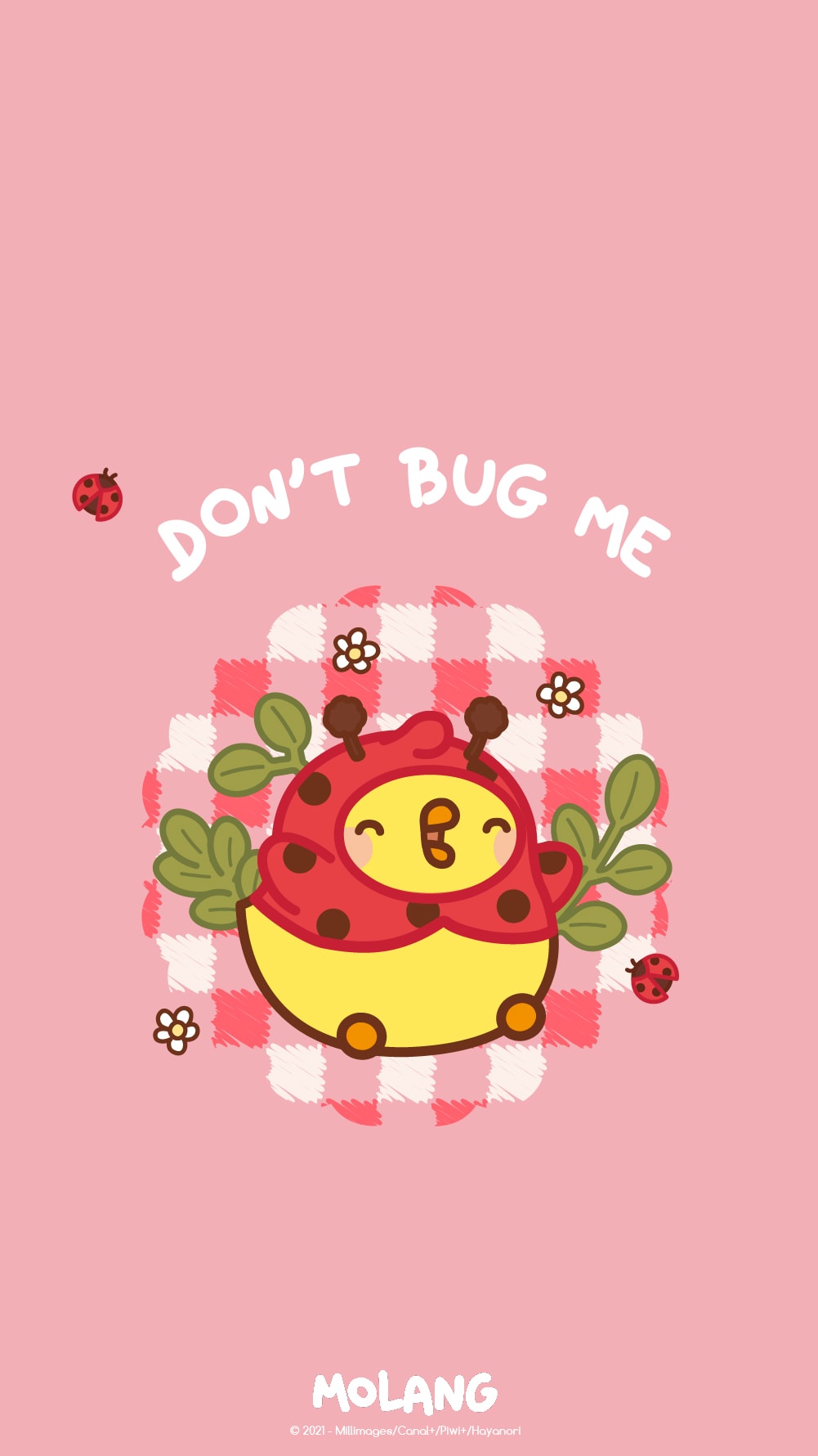 Molang coccinella sfondo rosa, 1001x1780 Full HD Verticale, iPhone
