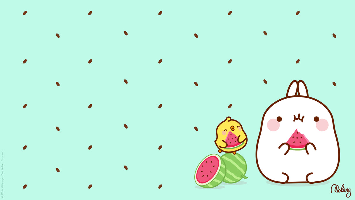 Molang coniglio anguria verde, 1200x675 HD, Laptop