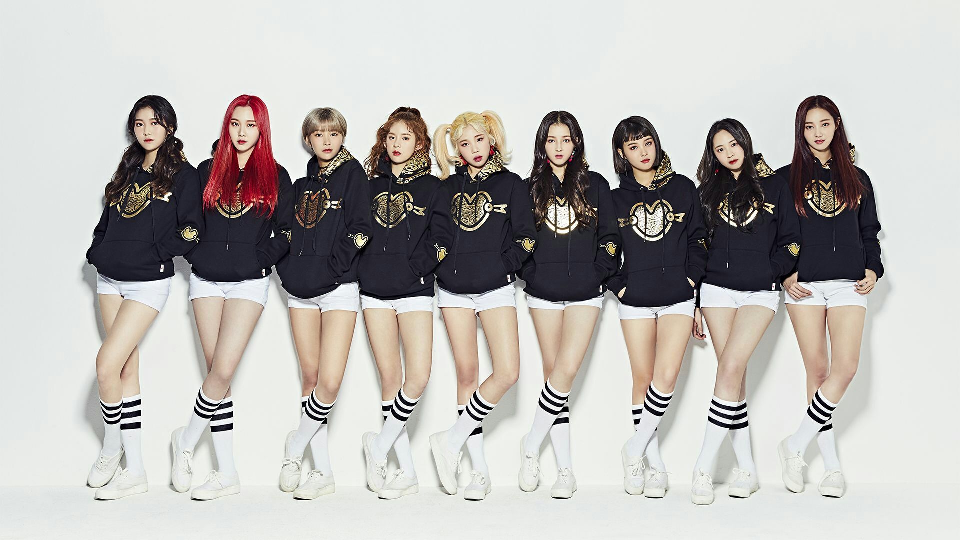 Momoland gruppo K-pop, 1920x1080 Full HD, PC