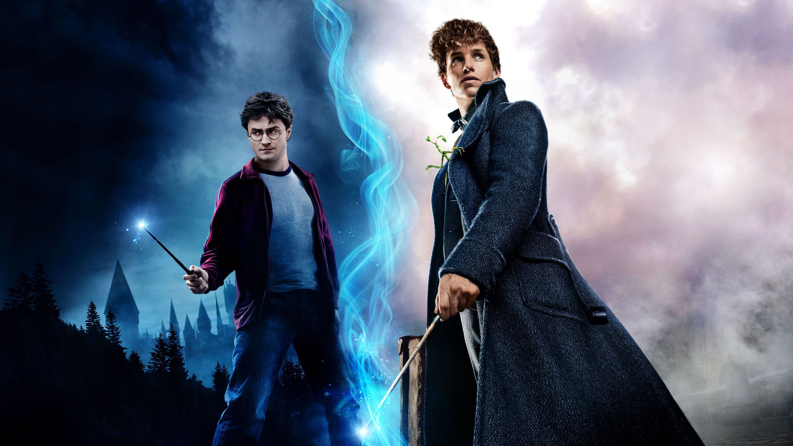 Harry Potter e Newt Scamander, 2560x1440 1440p, Desktop
