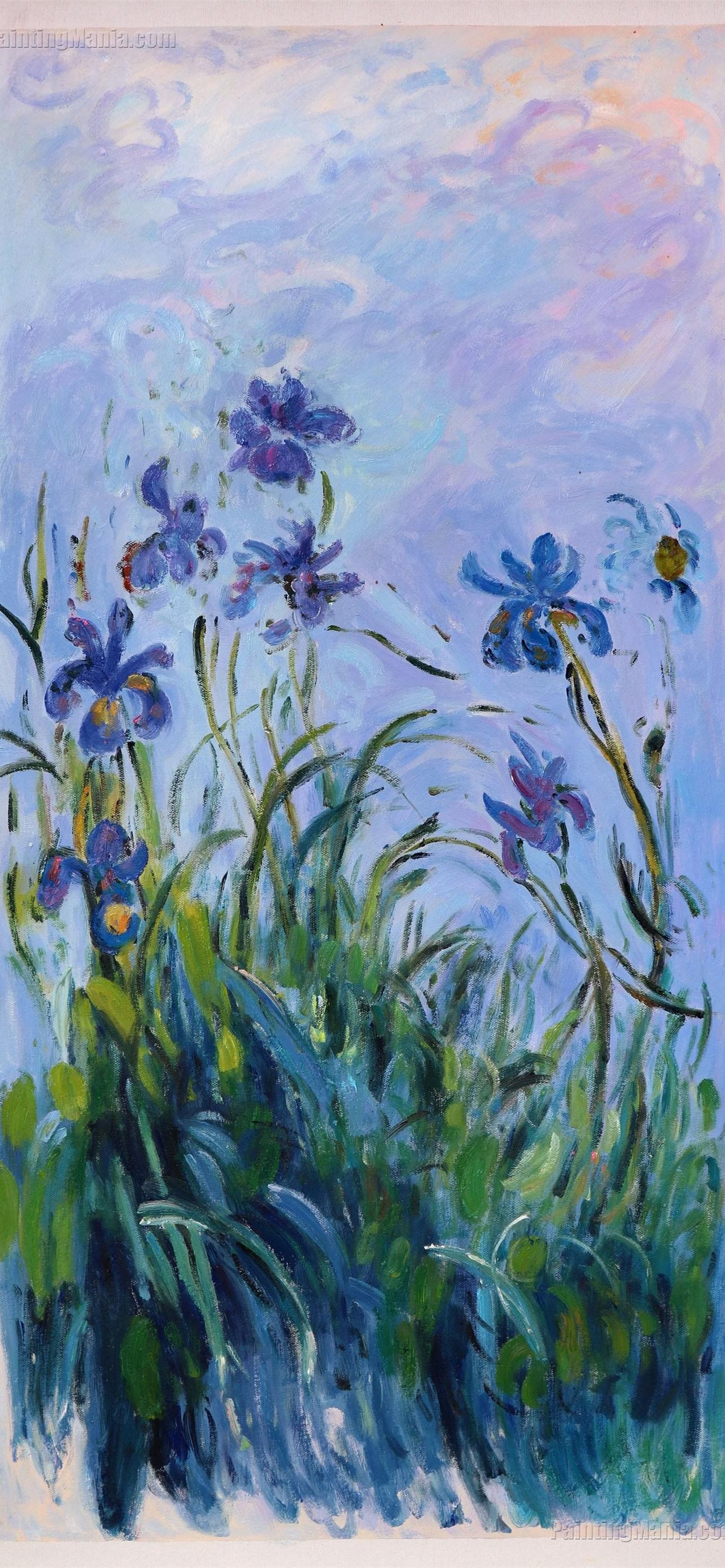 Iris blu dipinto impressionista, 1284x2778 Full HD Verticale, iPhone