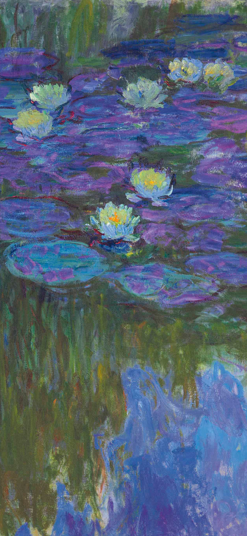 Ninfee di Monet, viola-blu, 828x1792 Full HD Verticale, Smartphone