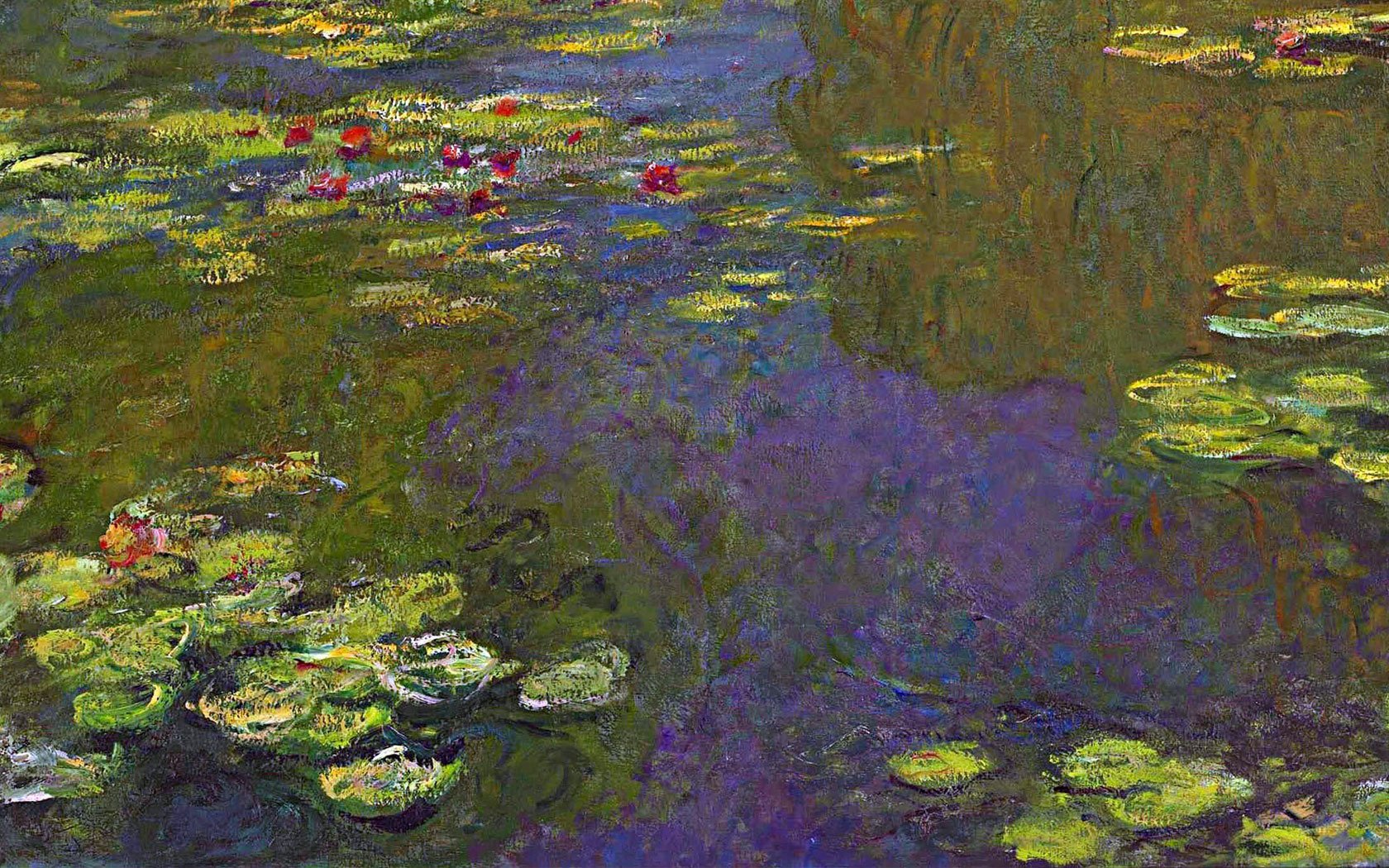 Ninfee di Monet, stagno, 1680x1050 HD, ROG Asus Laptop
