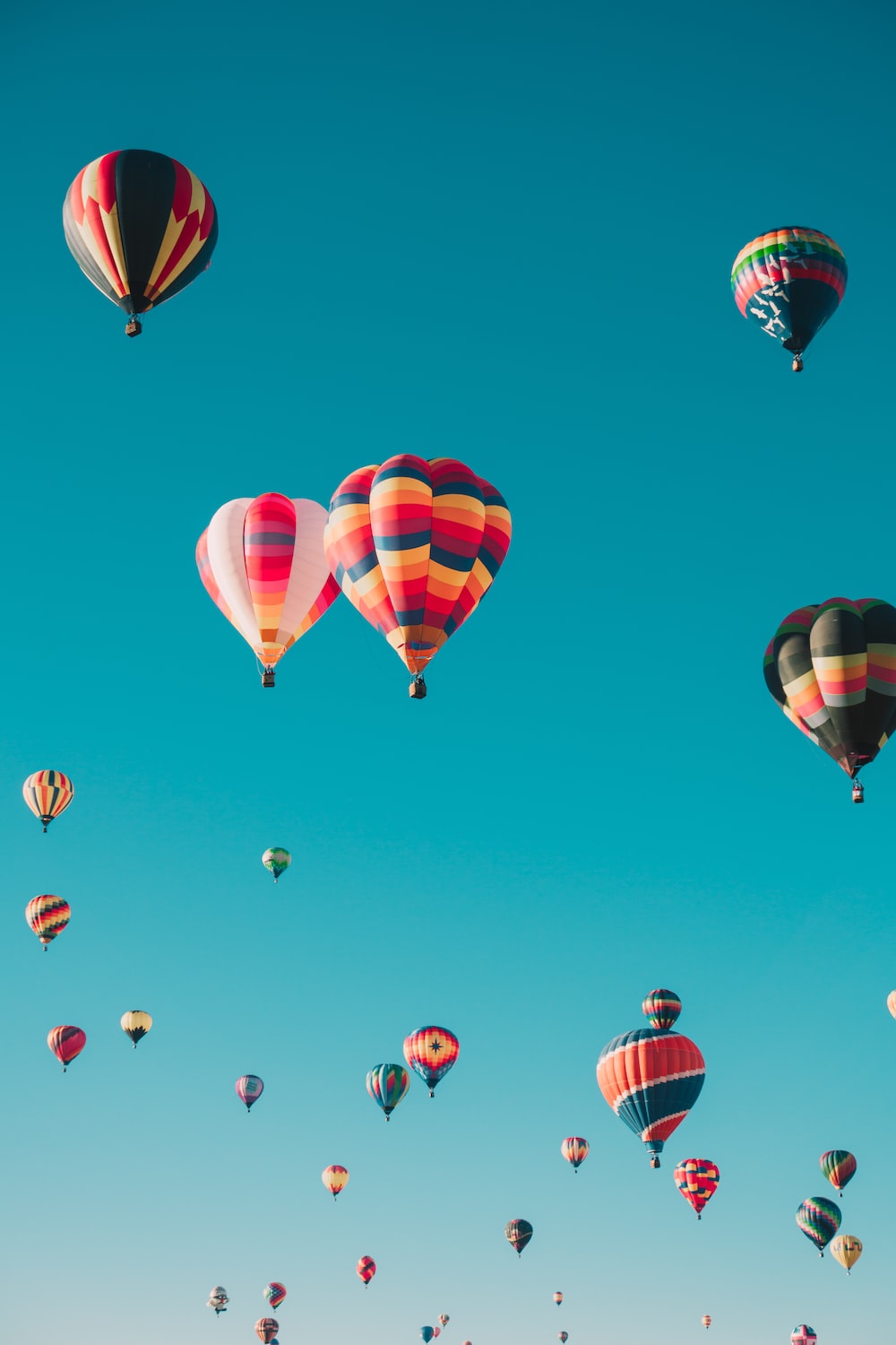 Palloncini a forma di cuore rosa, 800x1132 Verticale, Telefono
