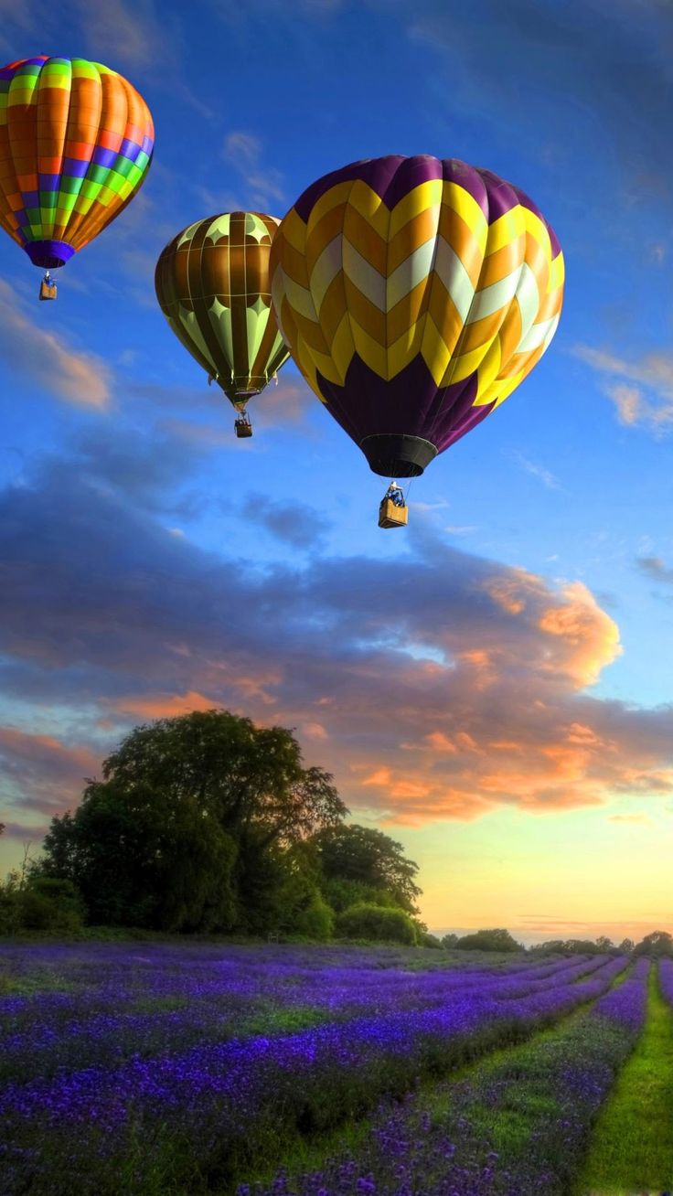 Mongolfiere colorate sul mare, 1920x1200 Full HD+, iMac