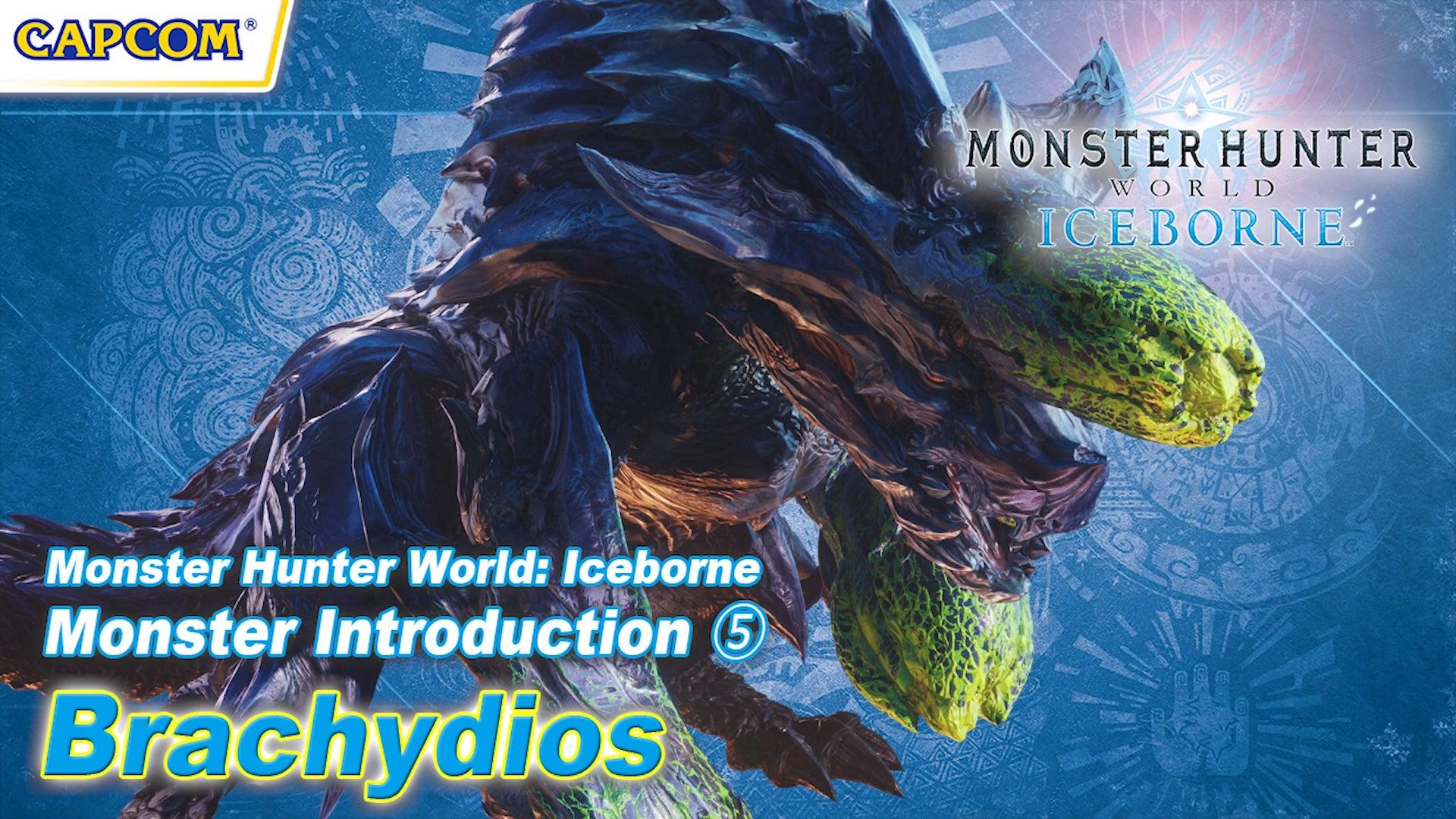 Cacciatori Monster Hunter World, 1920x1080 1080p, PC