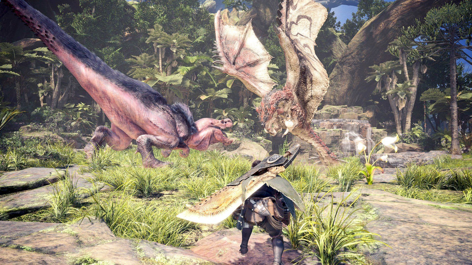Monster Hunter World, cacciatore e wyvern, 1920x1080 1080p, PC Desktop