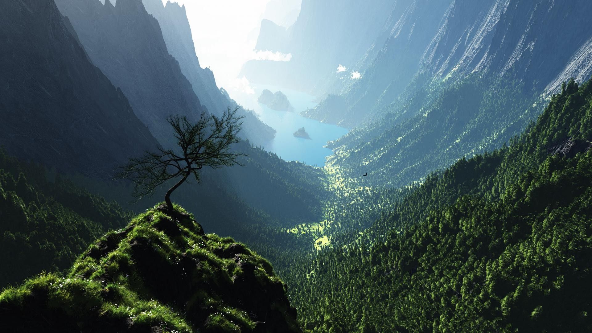 Valle montana con albero solitario, 1920x1080 Full HD 1080p, PC
