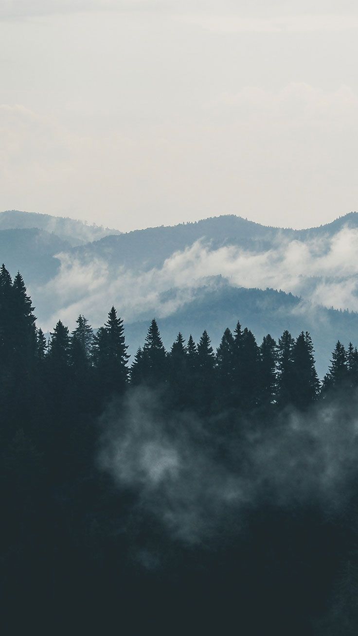 foresta e montagne nella nebbia, 736x1308 Full HD Verticale, iPhone Pro Max