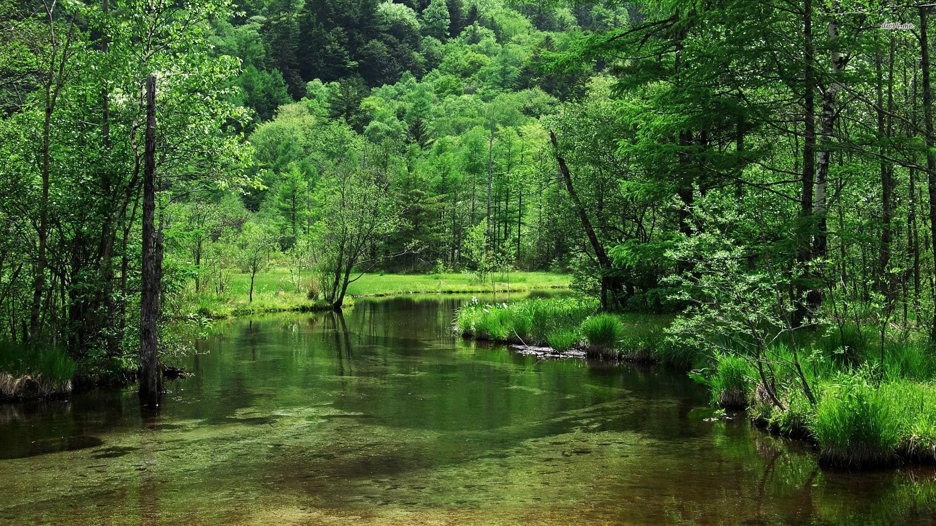Foresta e fiume Kamikochi Giappone, 1920x1080 Full HD 1080p, Desktop