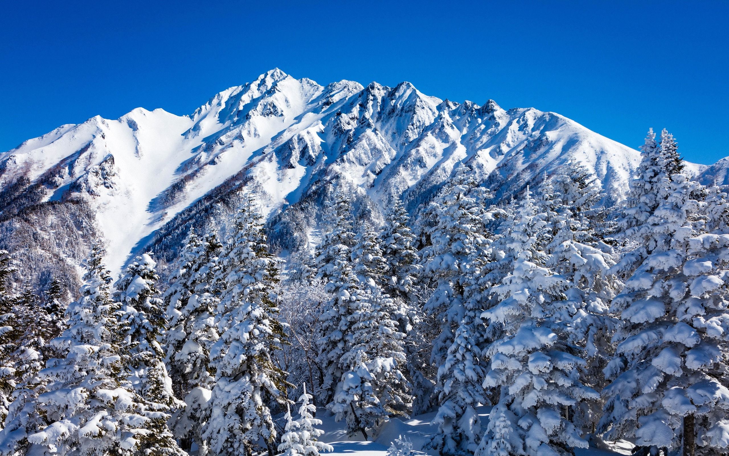 Montagna innevata Nagano Giappone, 2560x1600 2K, Desktop