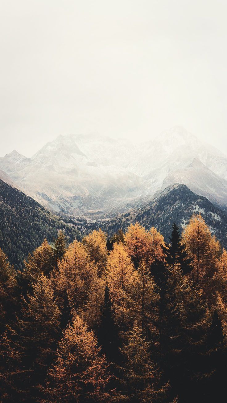 Foresta autunnale con montagne innevate, 736x1308 Full HD Verticale, iPhone