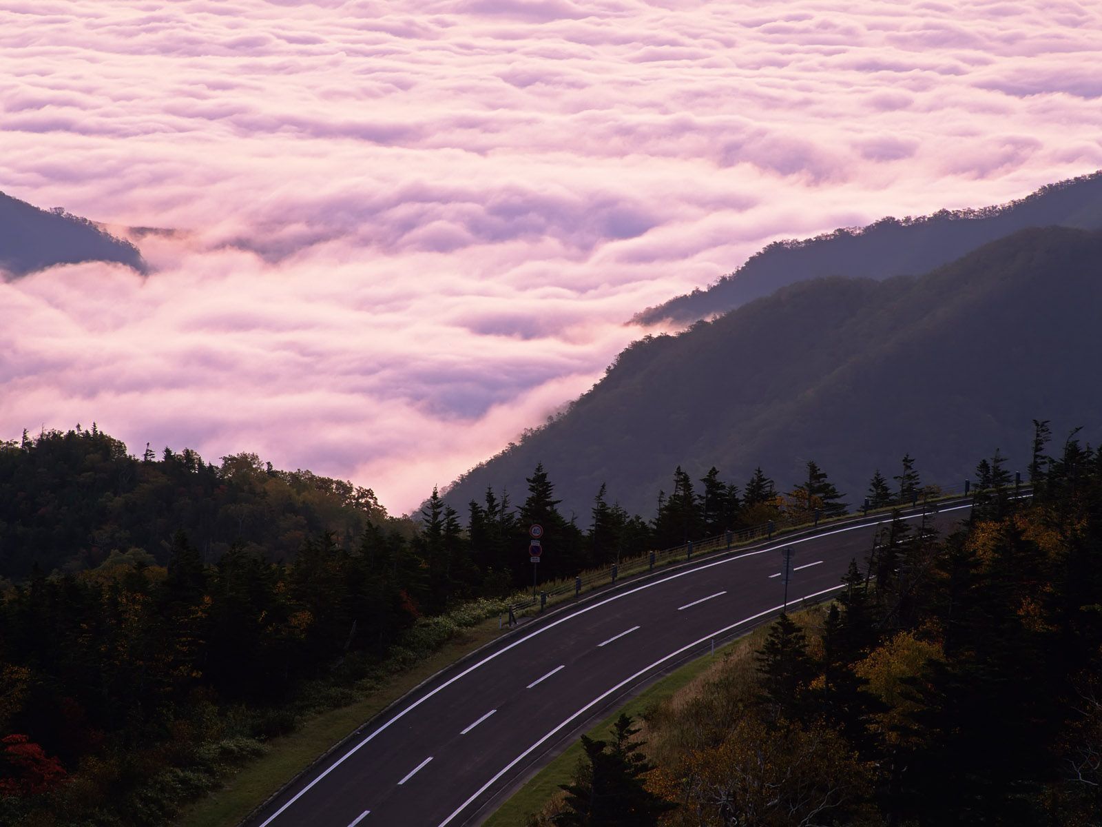 Strada montagna tra nuvole rosa, 1600x1200 HD, Desktop