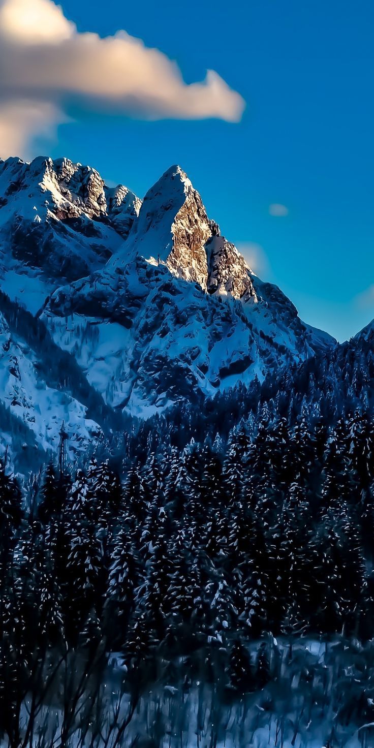 Montagne innevate al tramonto, 736x1472 Verticale, Mobile