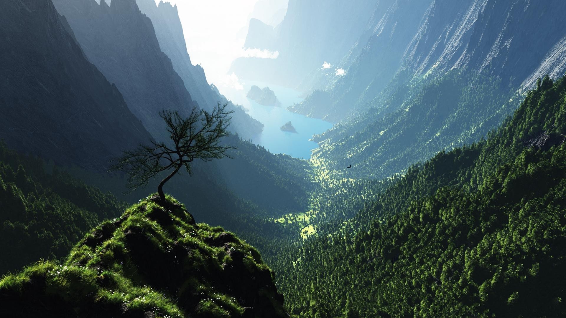 Valle montana con albero solitario, 1920x1080 Full HD, Desktop