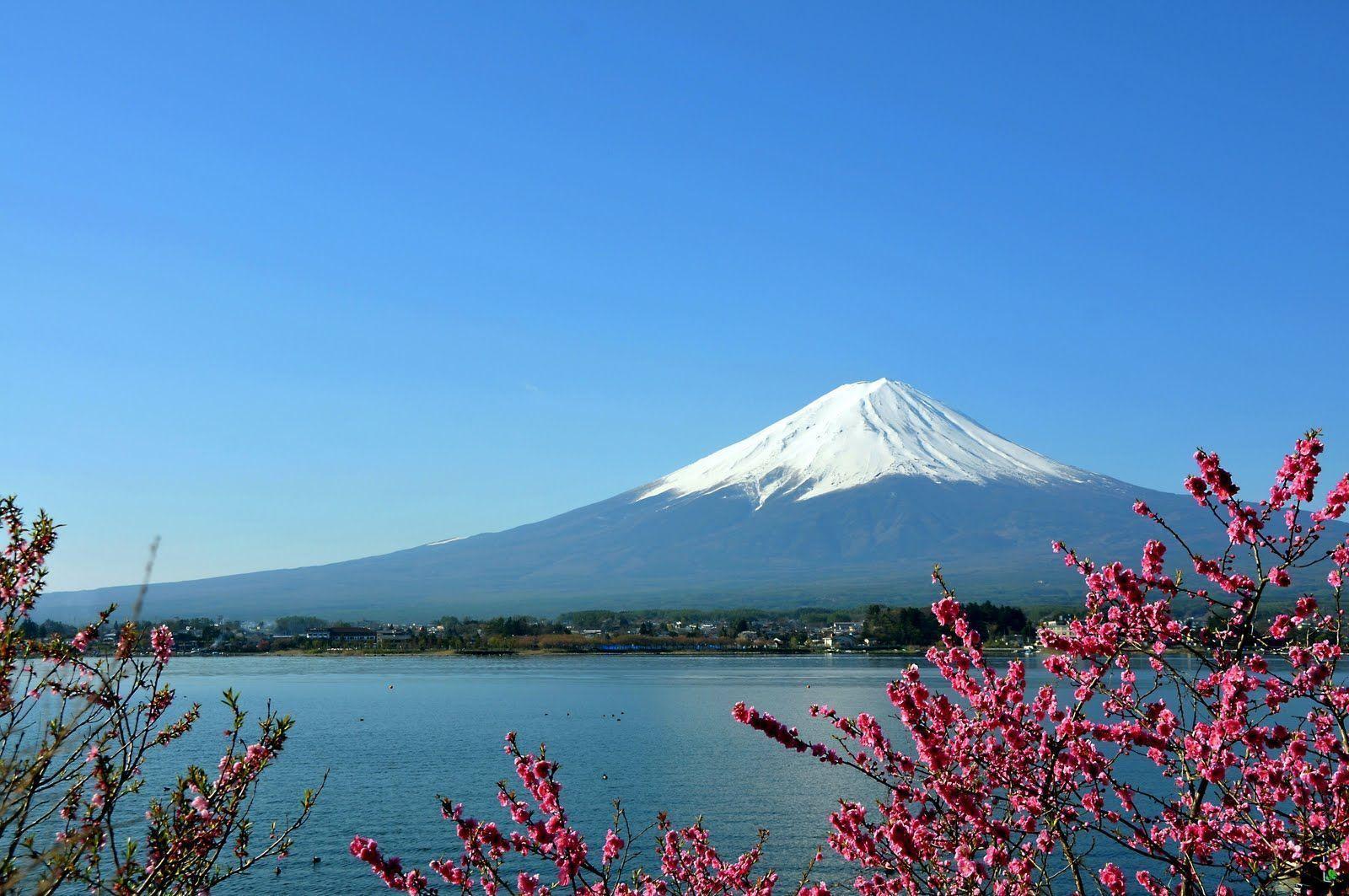 Monte Fuji con fiori di ciliegio, Giappone, 1600x1063 HD Ready, PC