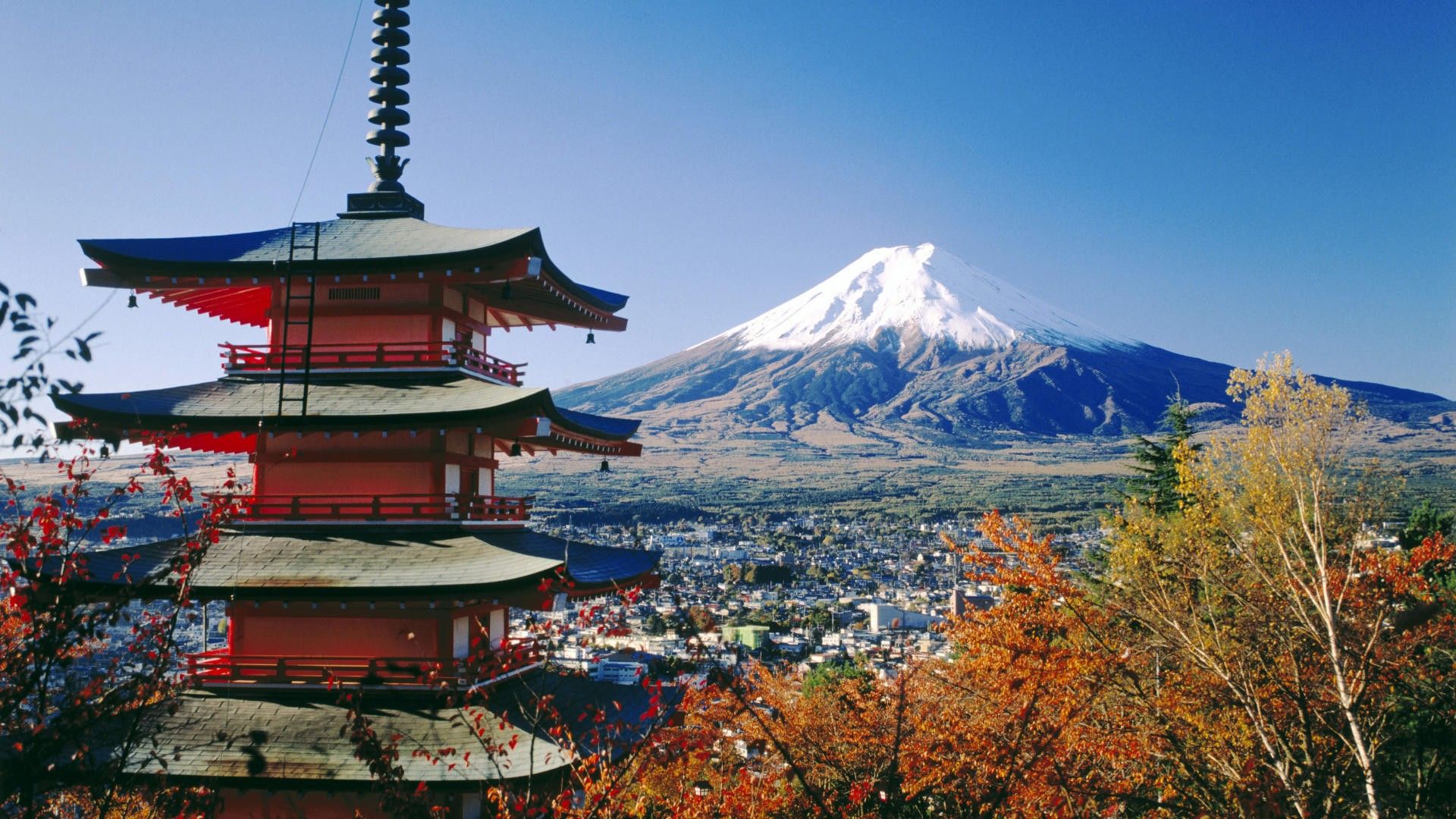 Monte Fuji con pagoda e sakura, 2560x1440 2K QHD, PC