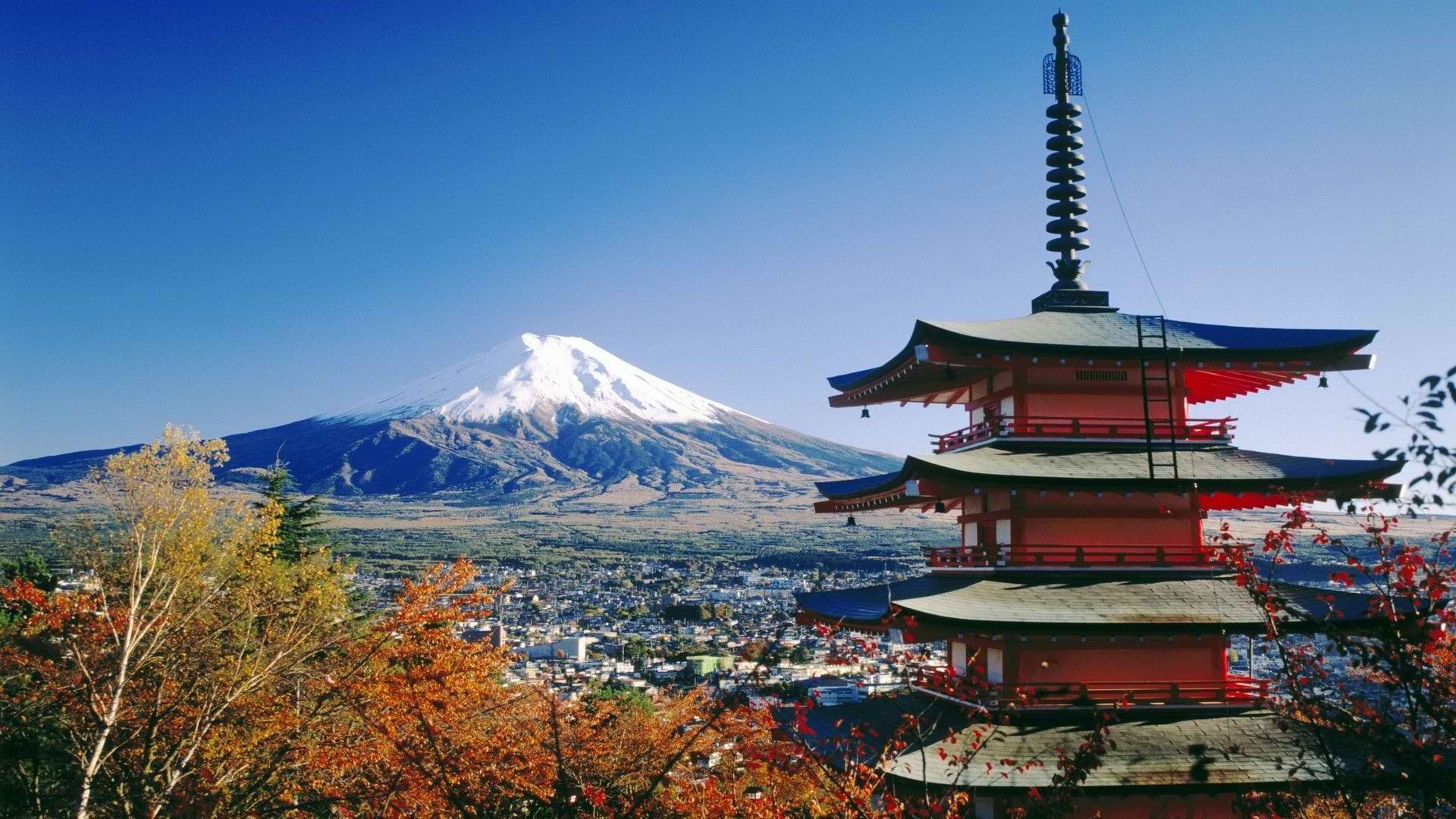 Monte Fuji con fiori rosa, 1920x1200 Full HD+ WUXGA, Laptop
