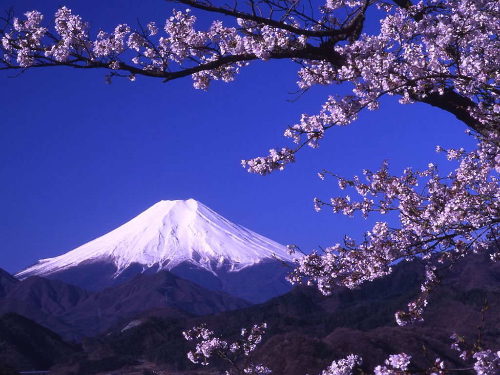 Monte Fuji con ciliegi in fiore, 1920x1200 WUXGA, Laptop
