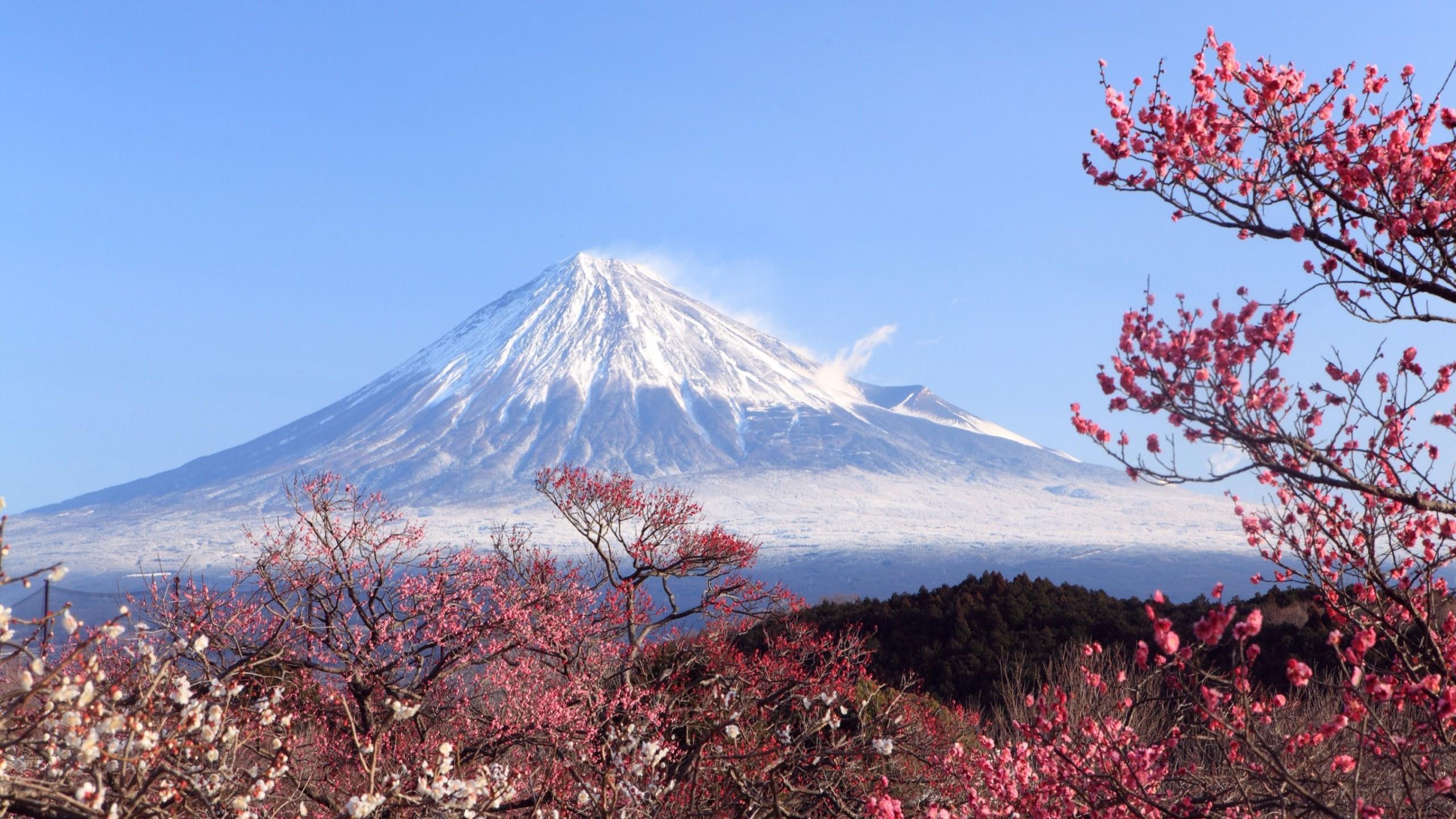 Monte Fuji con nube lenticolare, 1920x1441 Full HD+ WUXGA, PC Desktop