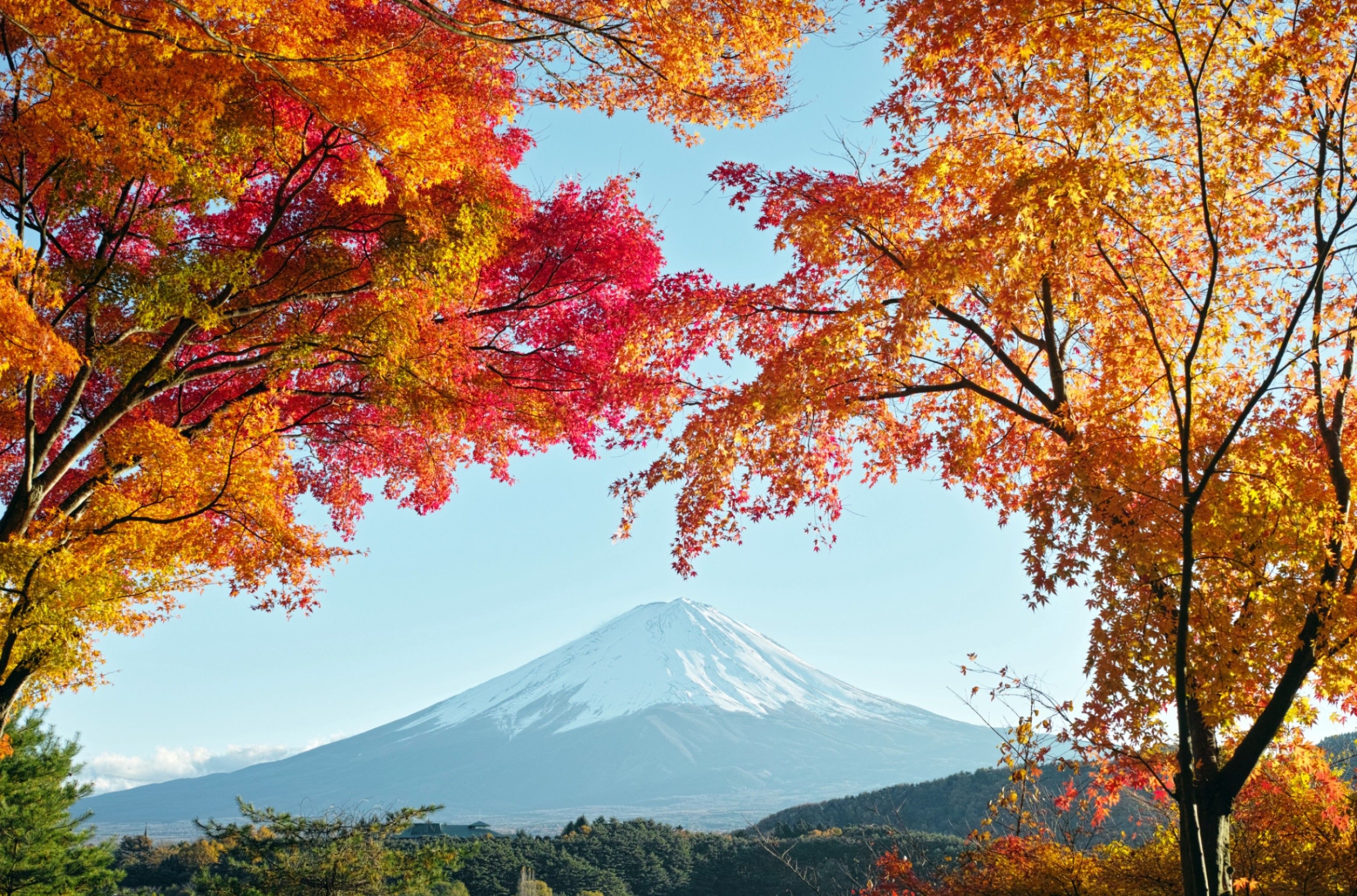 Monte Fuji e pagoda giapponese, 5719x3720 UHD, Monitor 4K