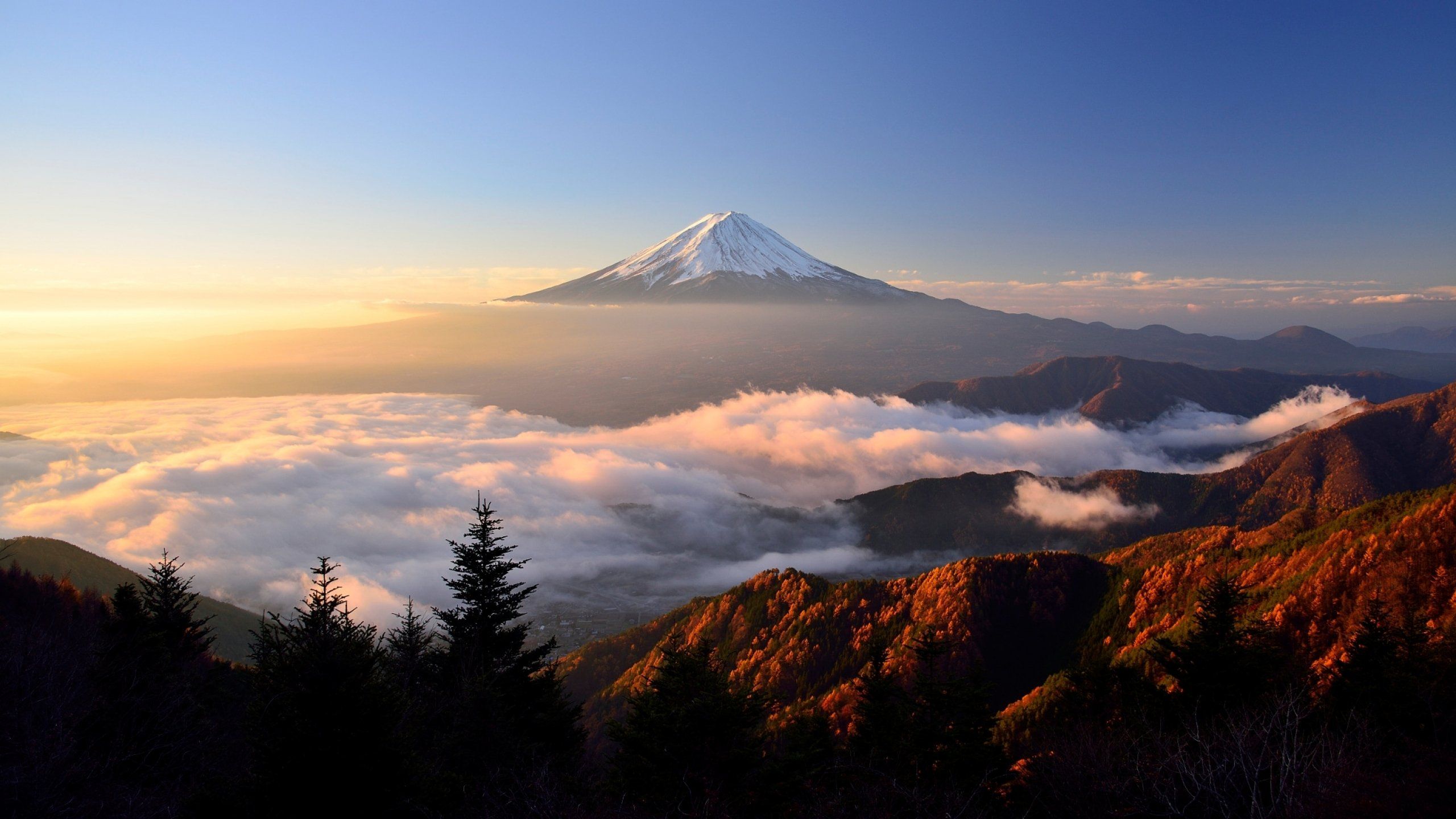 Monte Fuji con fiori di ciliegio, 2880x1800 WQXGA, MacBook Pro