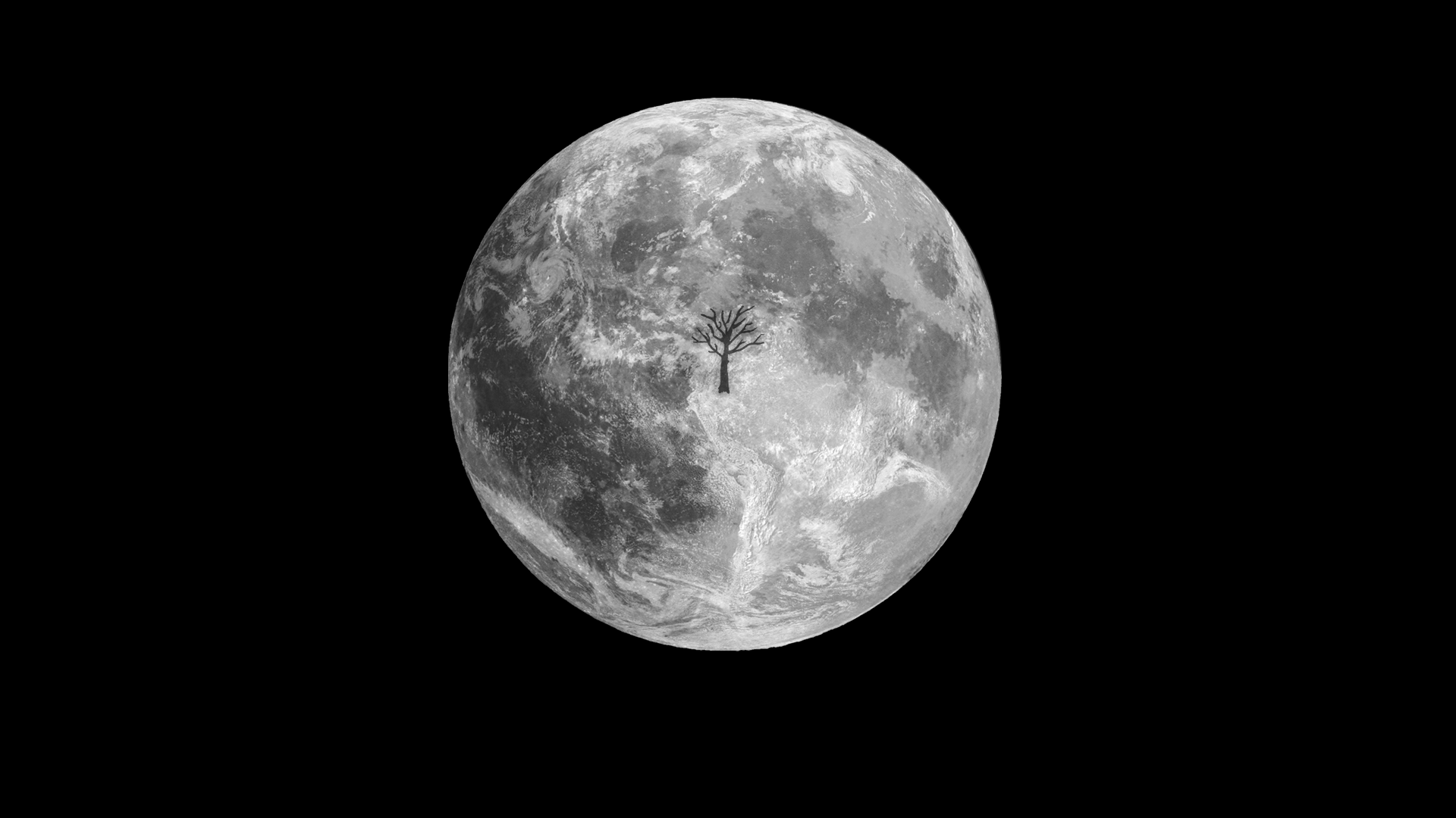 Luna piena con albero silhouette, 1920x1080 1080p, Desktop