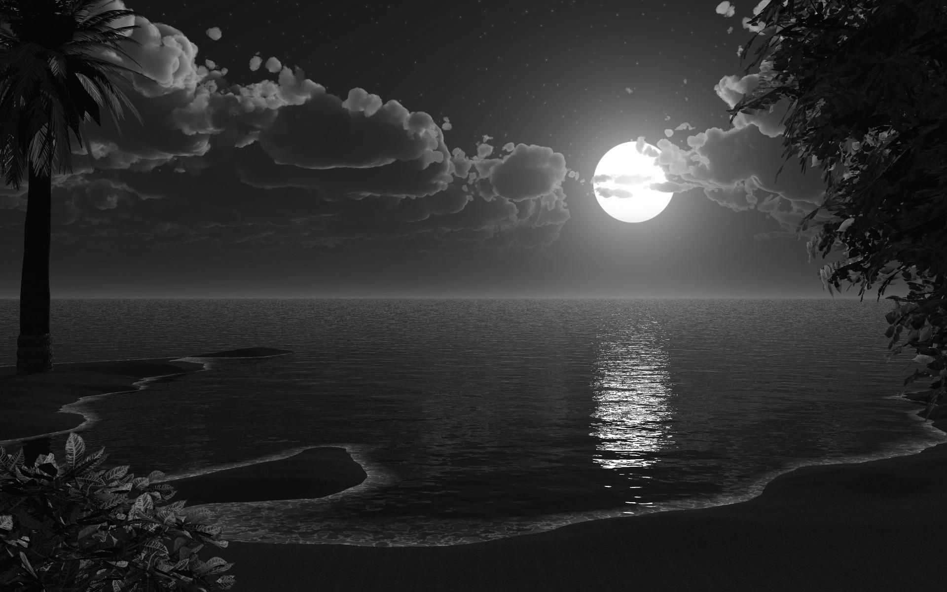 Luna piena su spiaggia notturna, 1920x1200 Full HD+, PC