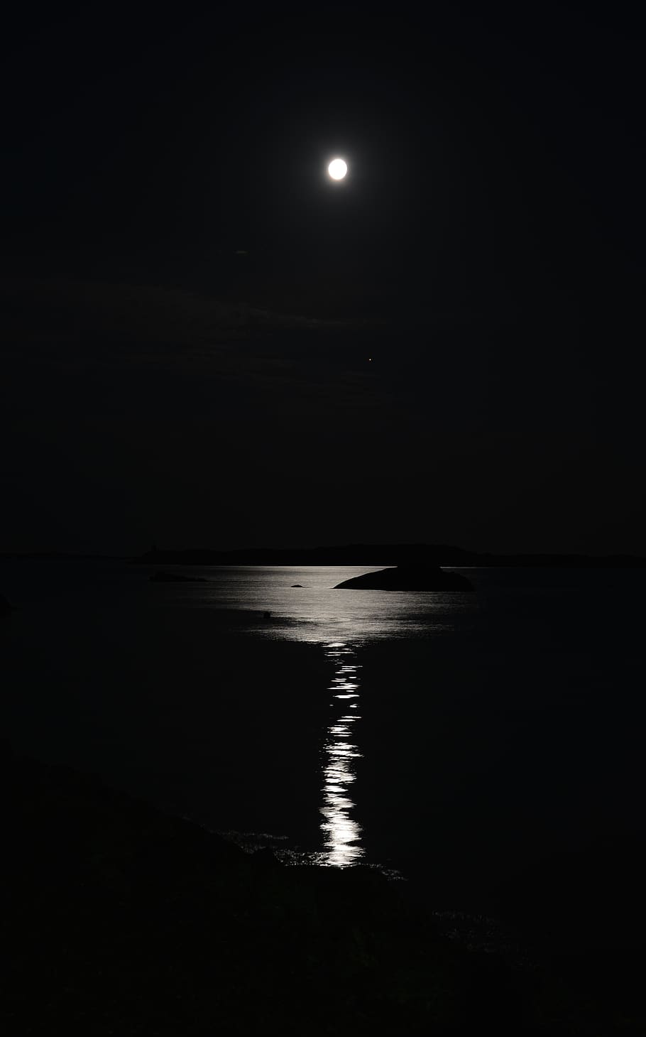 Luna piena su mare notturno, 910x1460 Verticale, Mobile