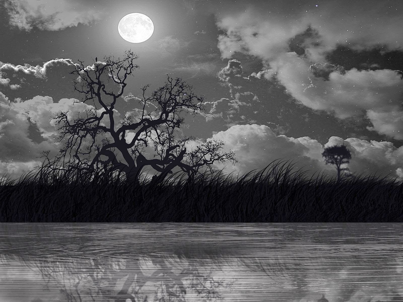 Luna piena albero silhouette notte, 1600x1200 HD Ready, PC