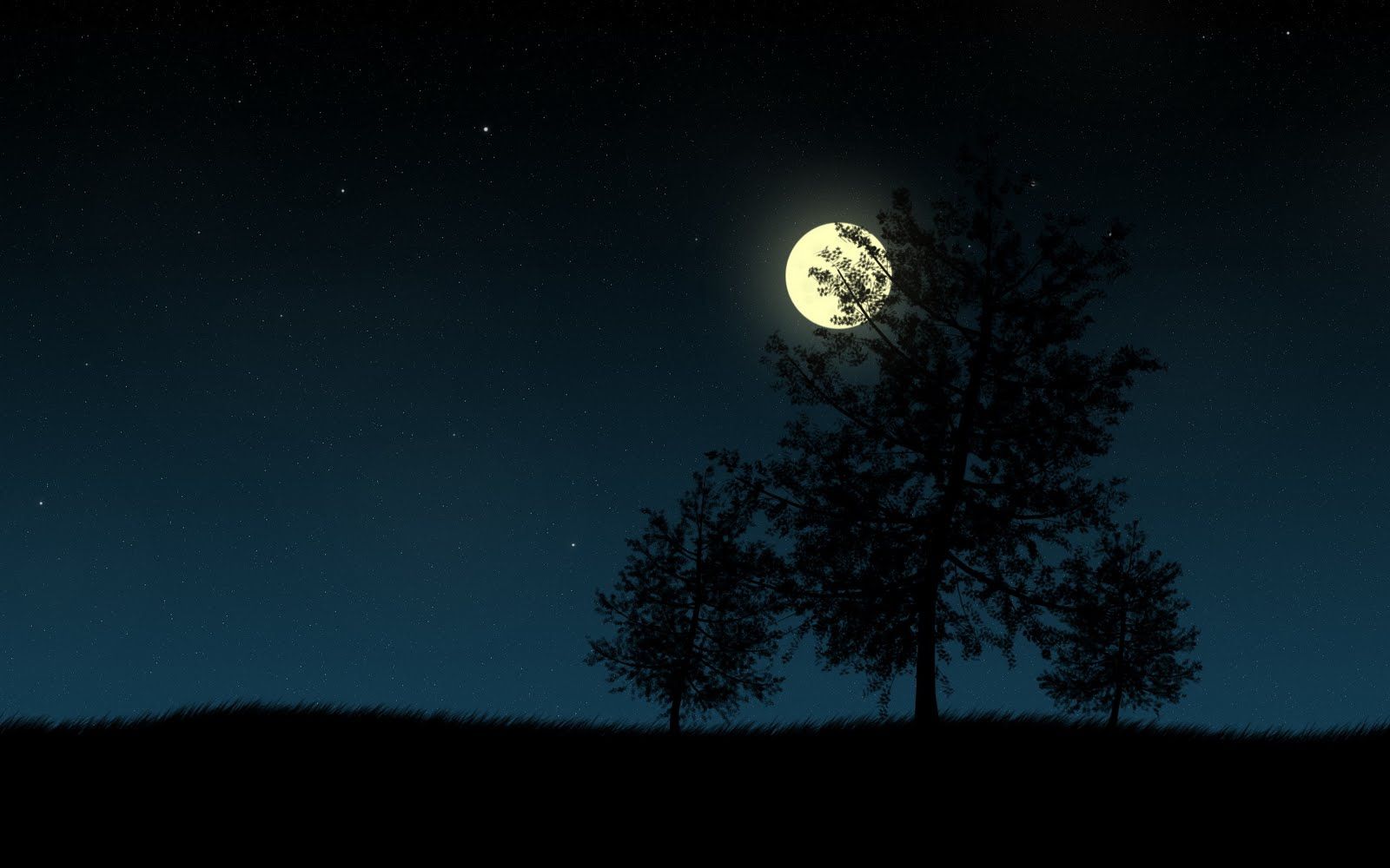Luna piena tra alberi, 1600x1000 HD Ready, Desktop