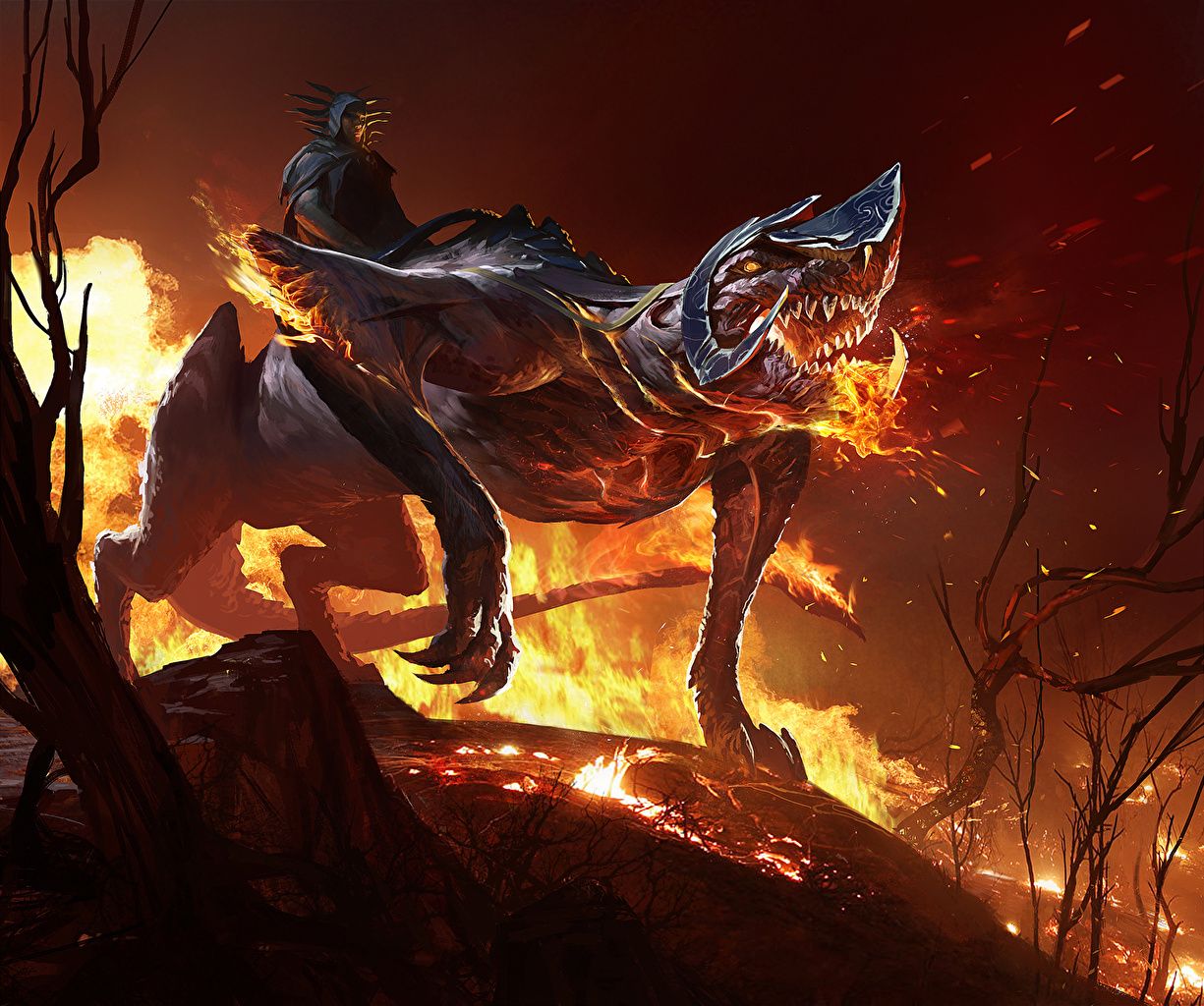 Cavaliere su drago di fuoco, 1225x1024 HD, PC