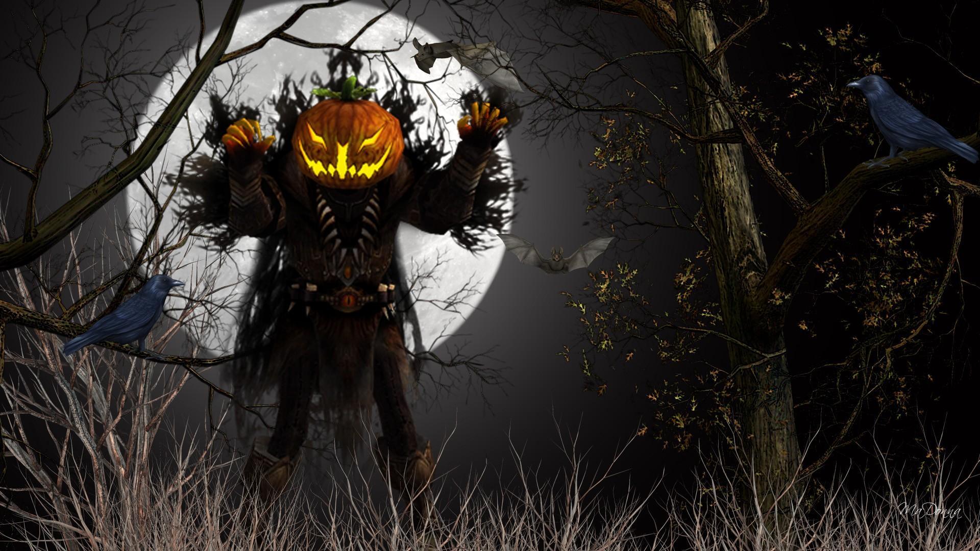 Mostro zucca notte luna, 1920x1080 Full HD 1080p, Laptop