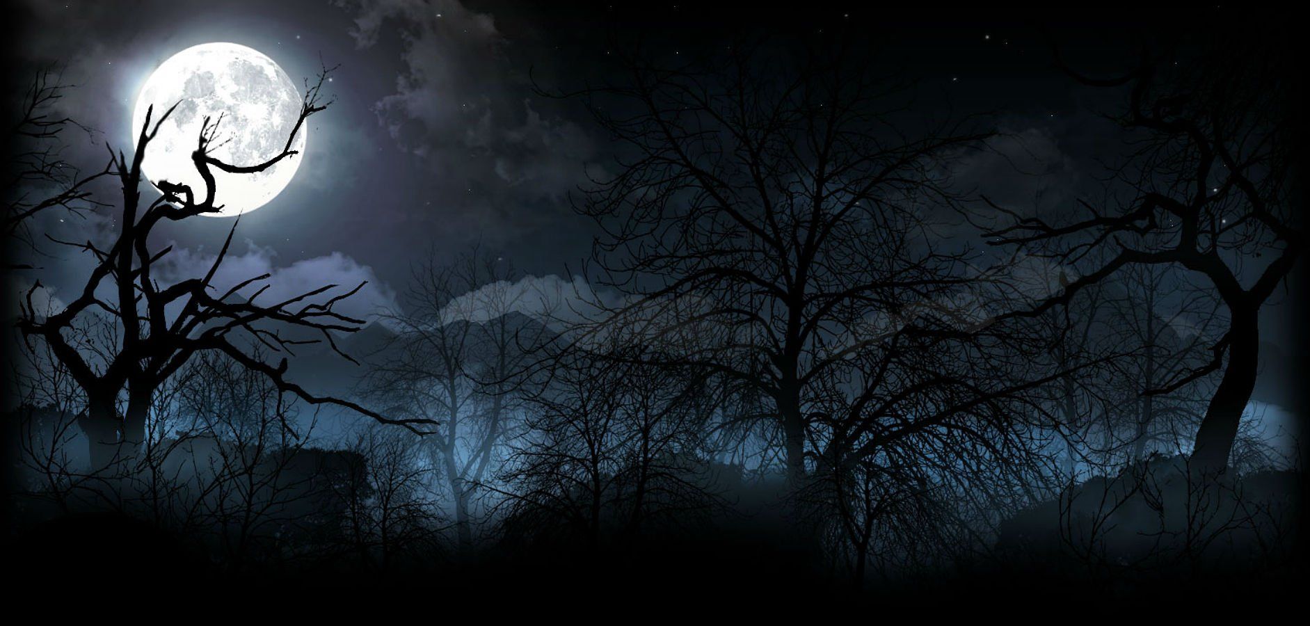 Silhouette gatto luna piena, 1883x900 HD Ready, Desktop