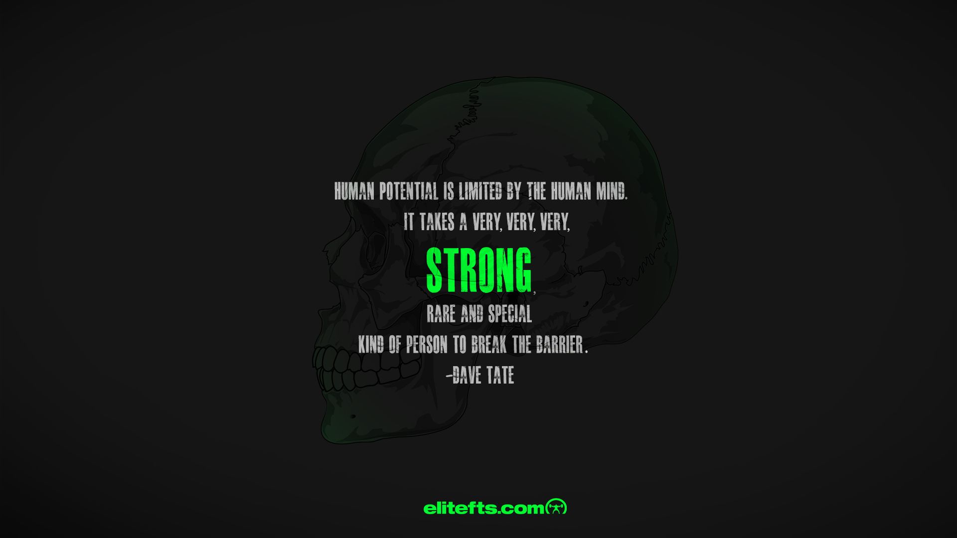 Scritta Stay Strong nella foresta, 1920x1080 Full HD, PC