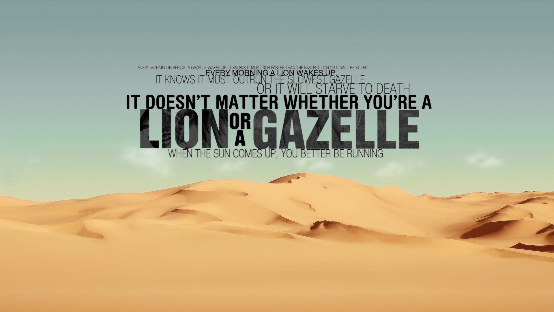citazione motivazionale deserto sabbia, 1920x1080 Full HD 1080p, PC