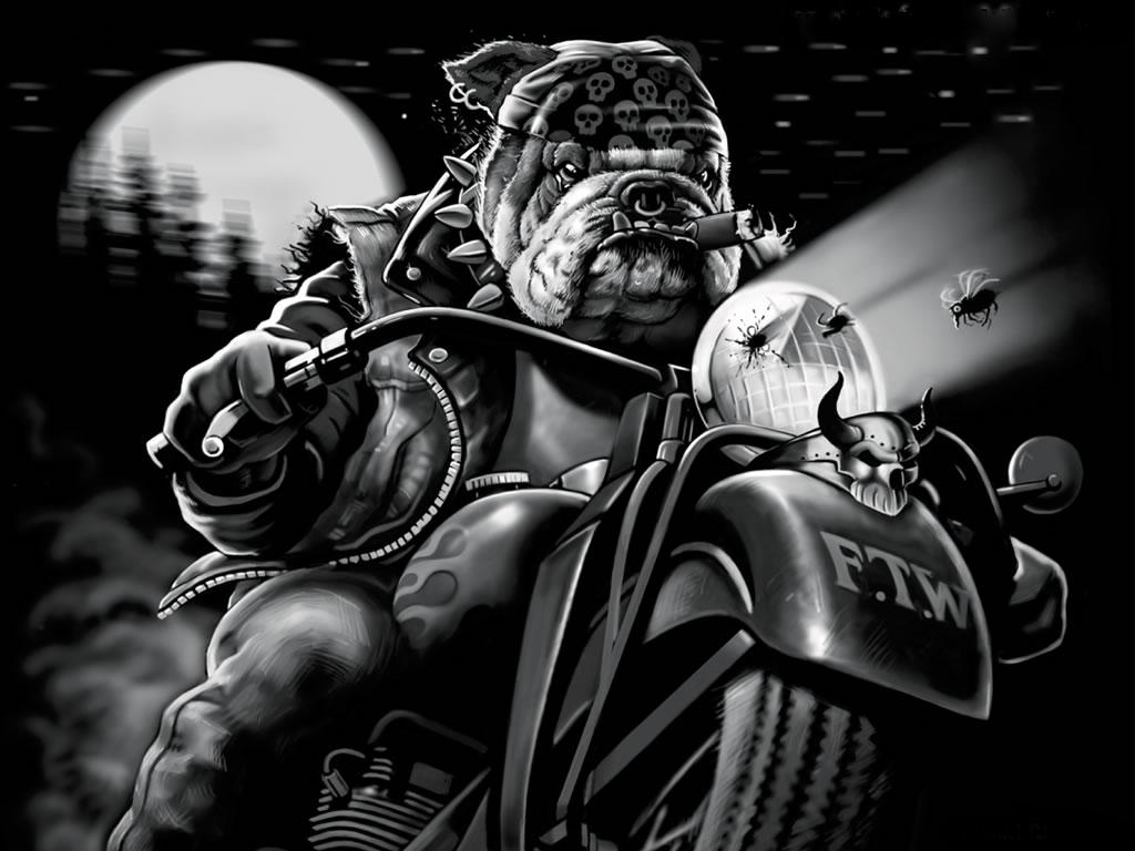 Bulldog motociclista in bianco e nero, 1024x768 HD, Desktop
