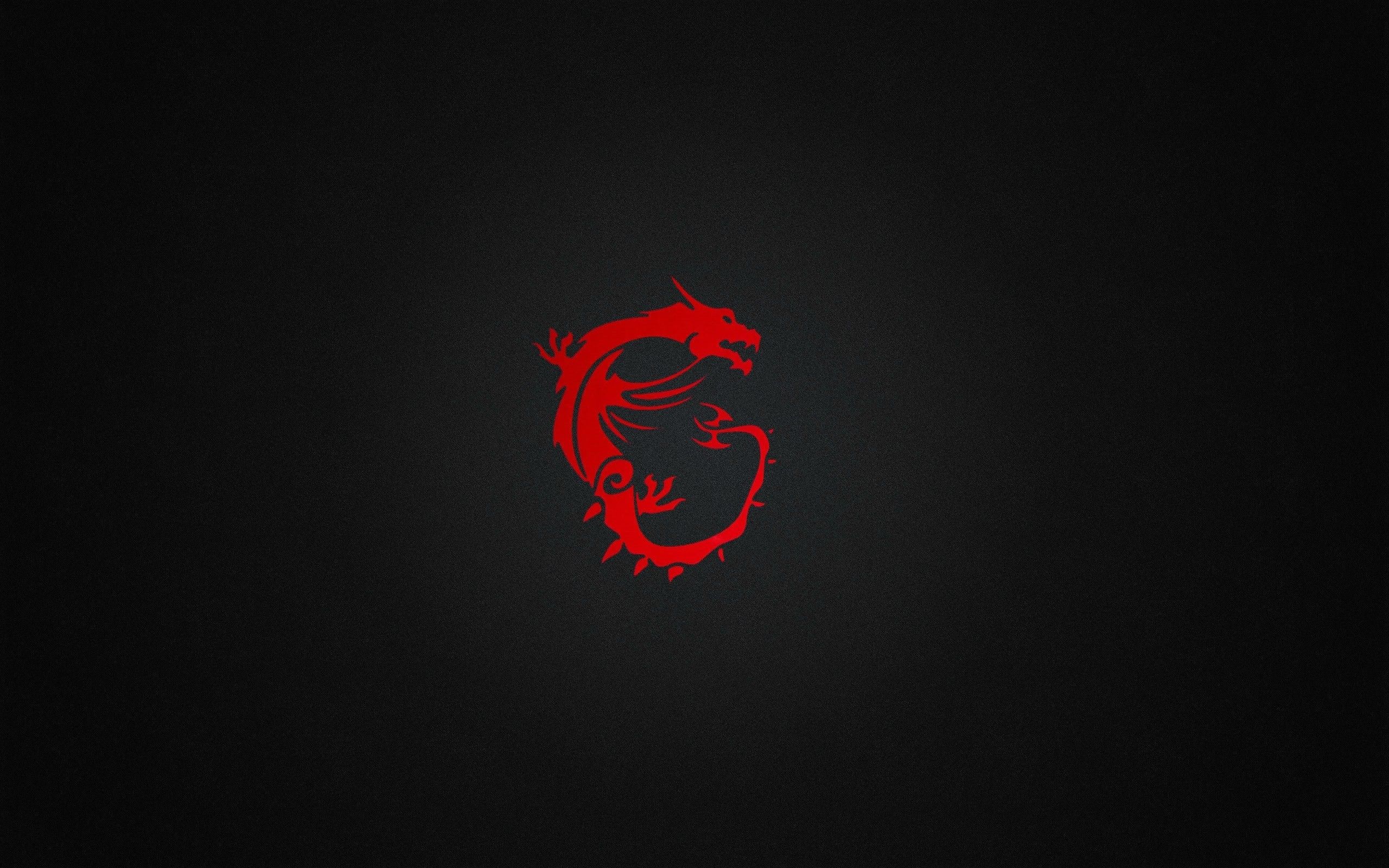 Logo drago rosso MSI, hardware gaming, 2560x1600 2K+, Desktop