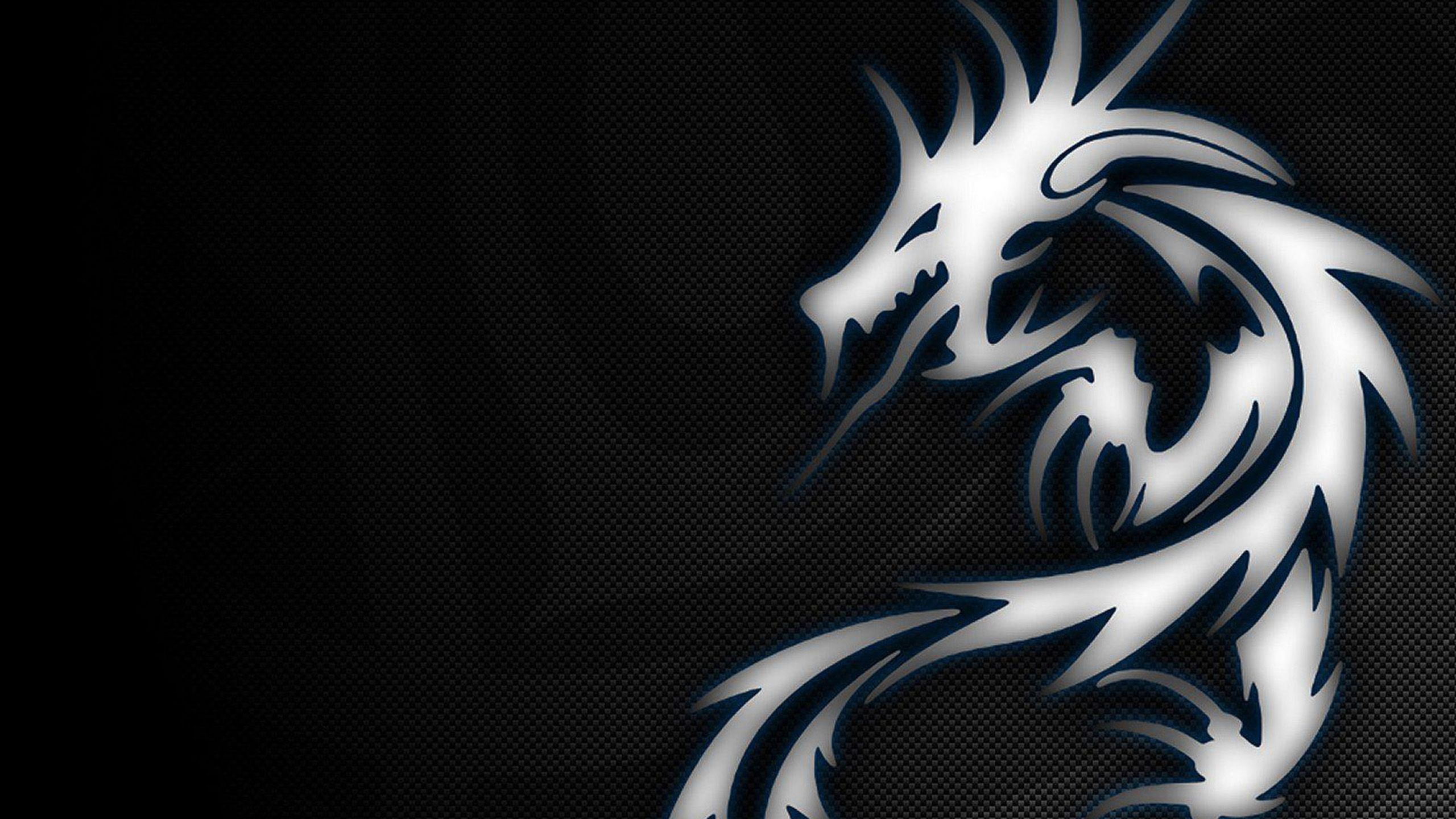 Drago tribale bianco MSI, 2560x1440 1440p, Monitor Gaming