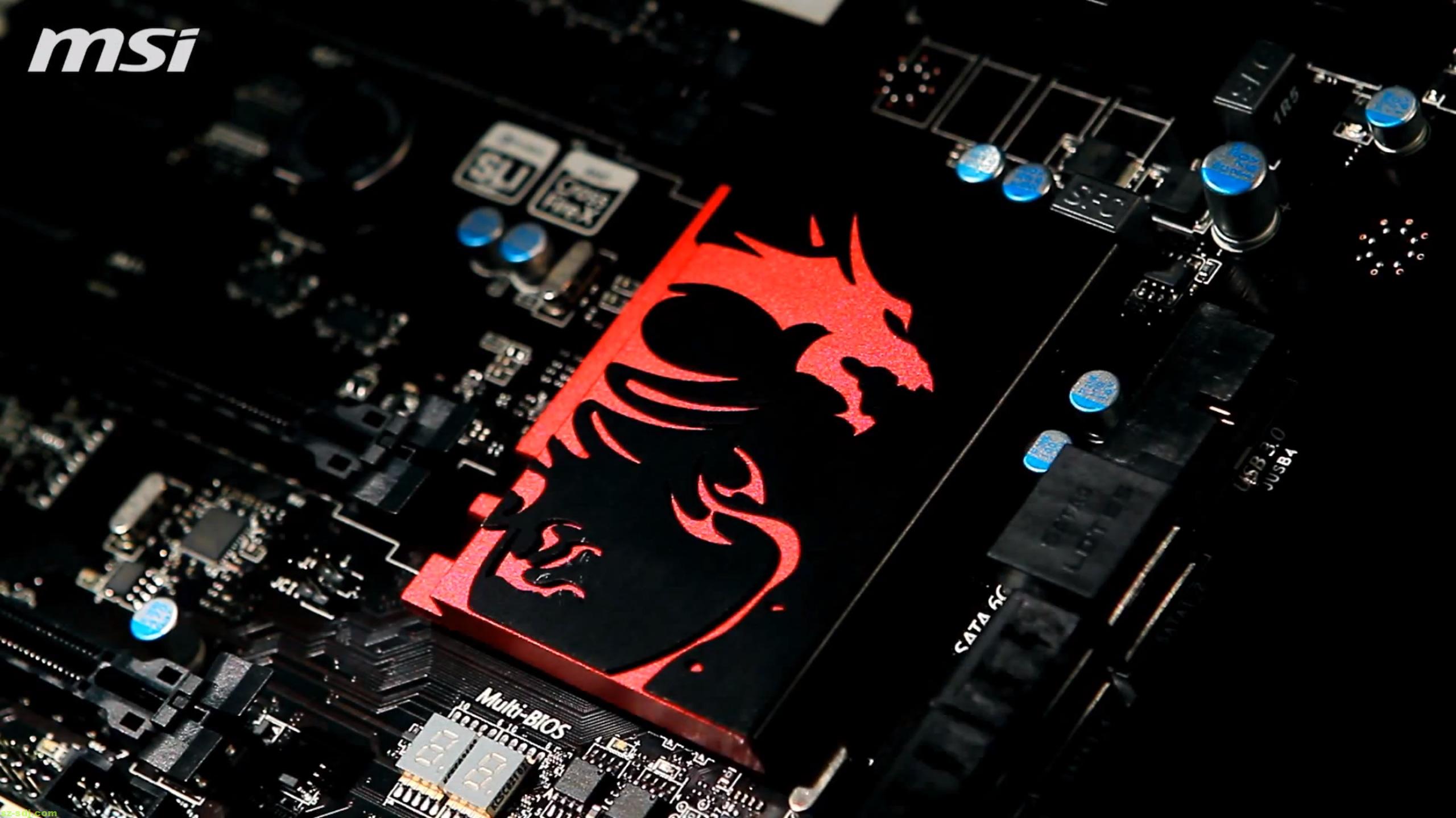 Logo dragone rosso MSI scheda madre, 2560x1440 2K, Monitor Gaming