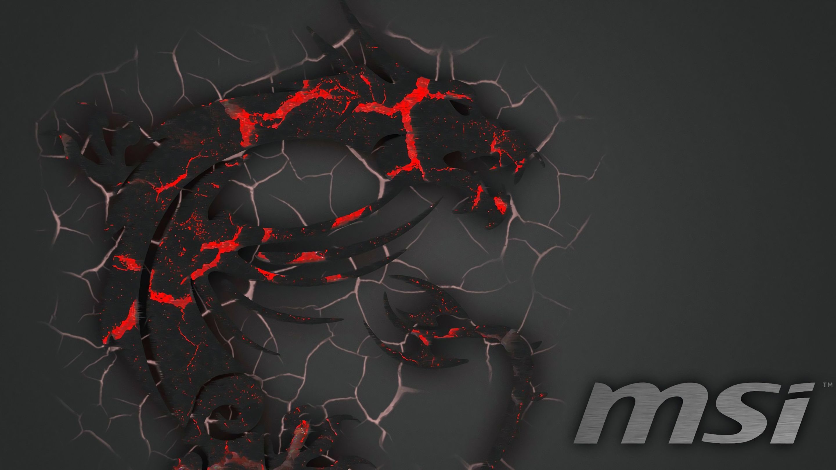 Logo drago MSI rosso nero, 2880x1620 WQXGA, Monitor Gaming