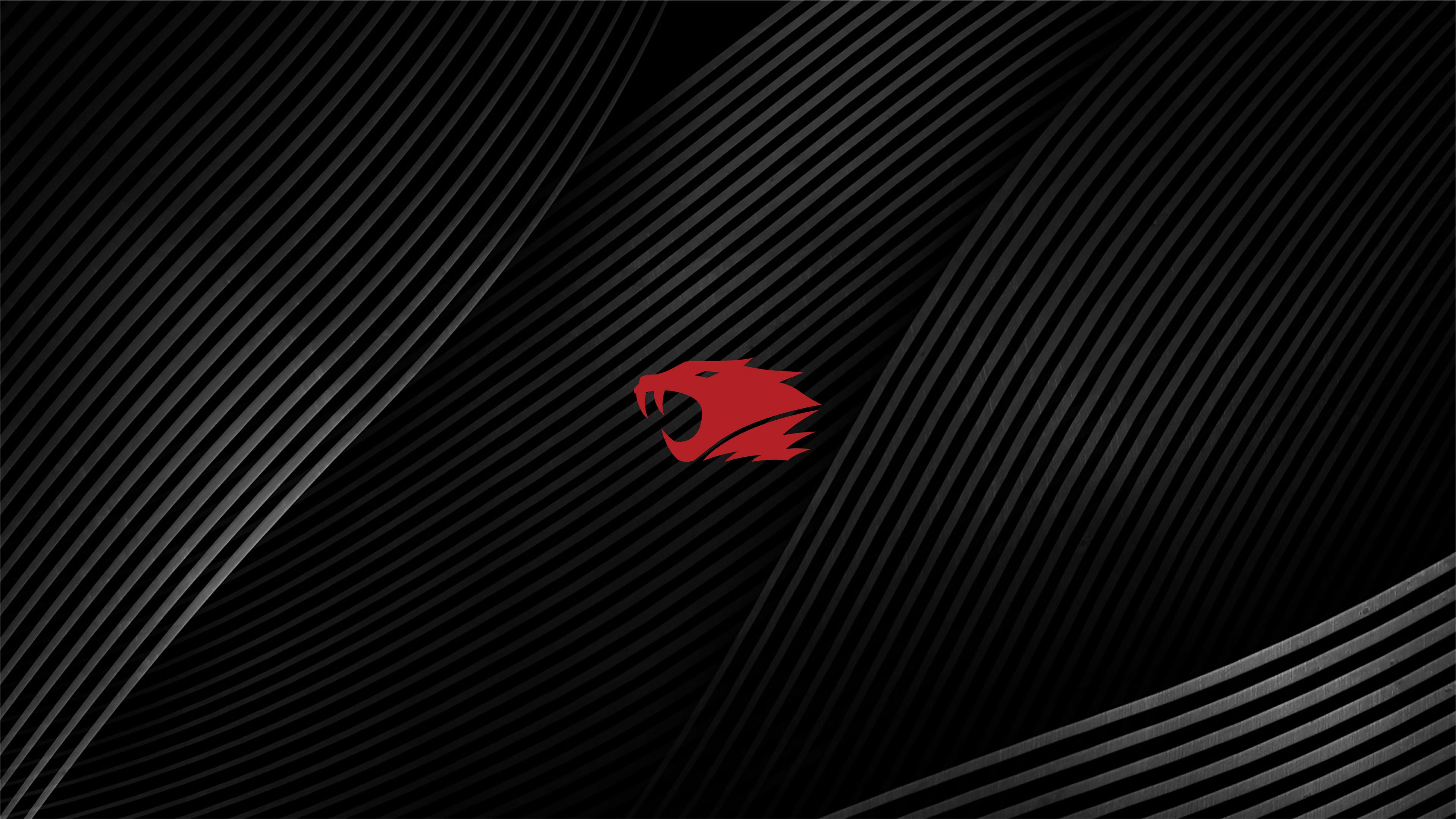 Logo drago rosso MSI, 3841x2161 UHD, Monitor 4K